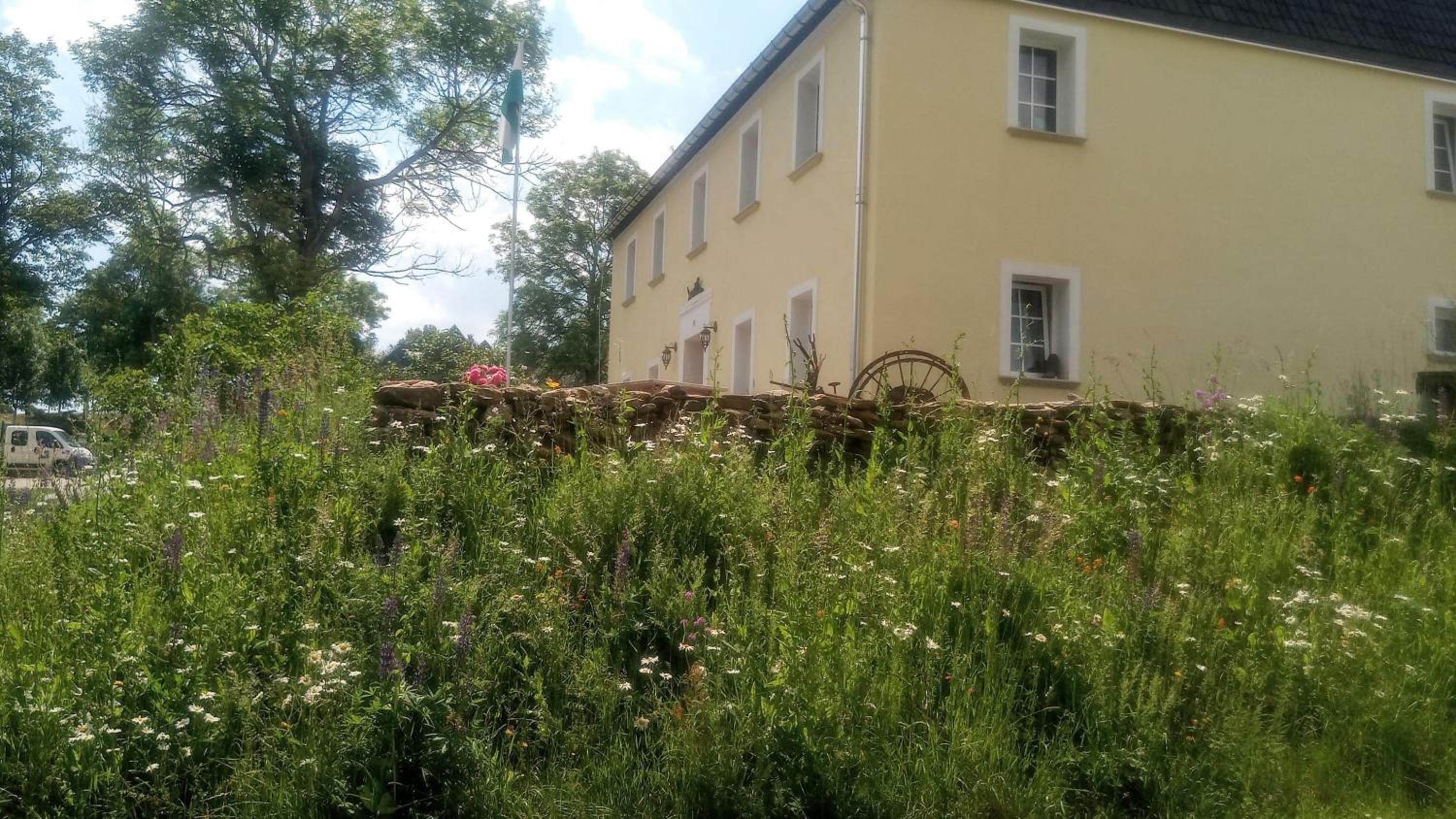 Gasthaus Rübenau view 4