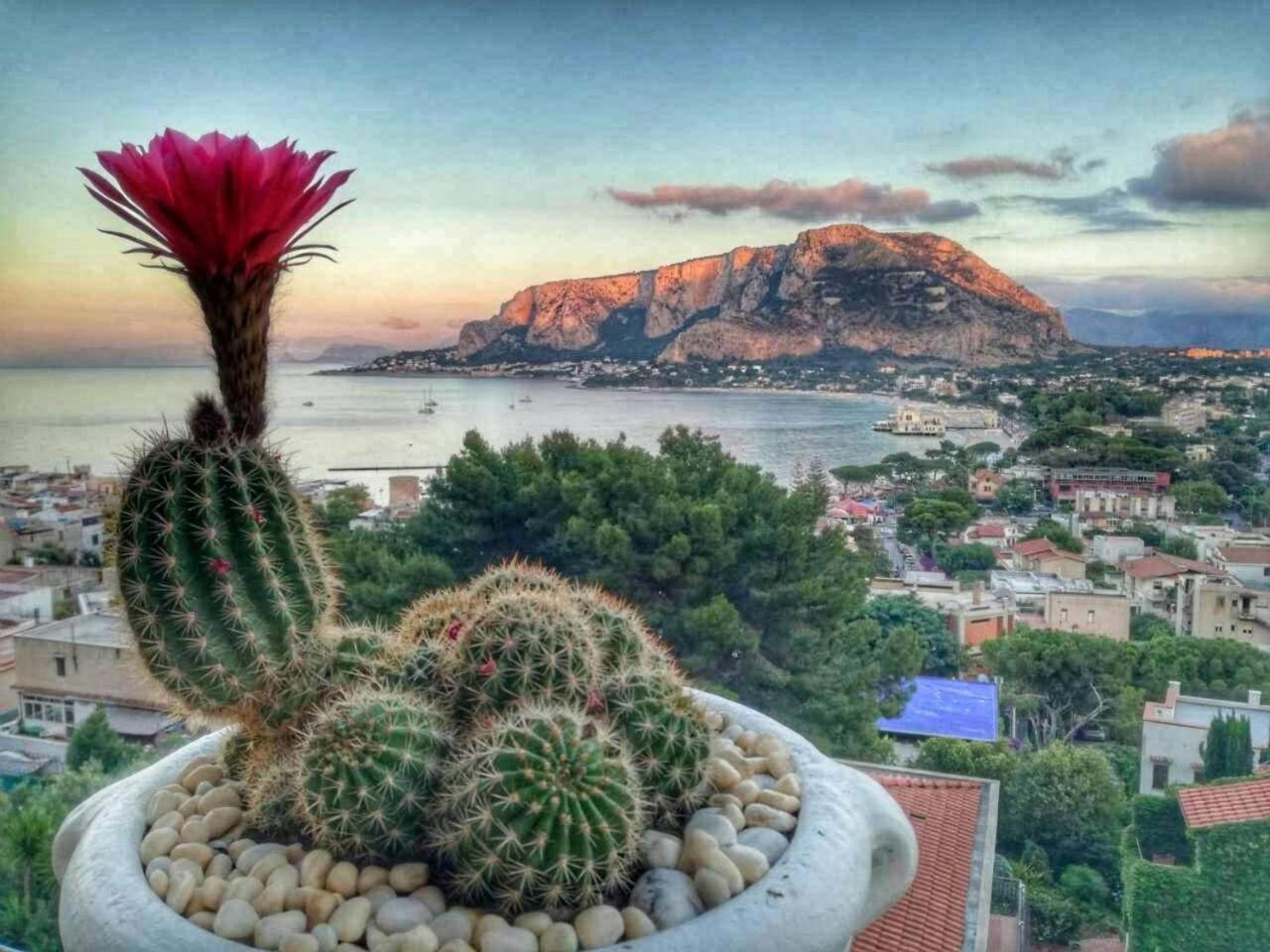 il sogno di Saffo view 5