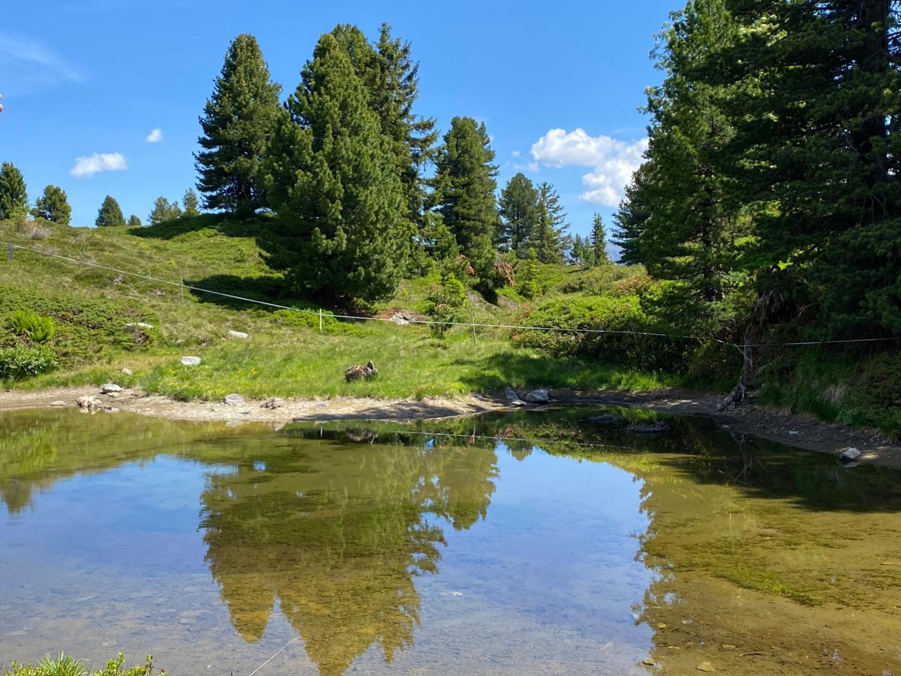 Landhaus Rieder im Zillertal