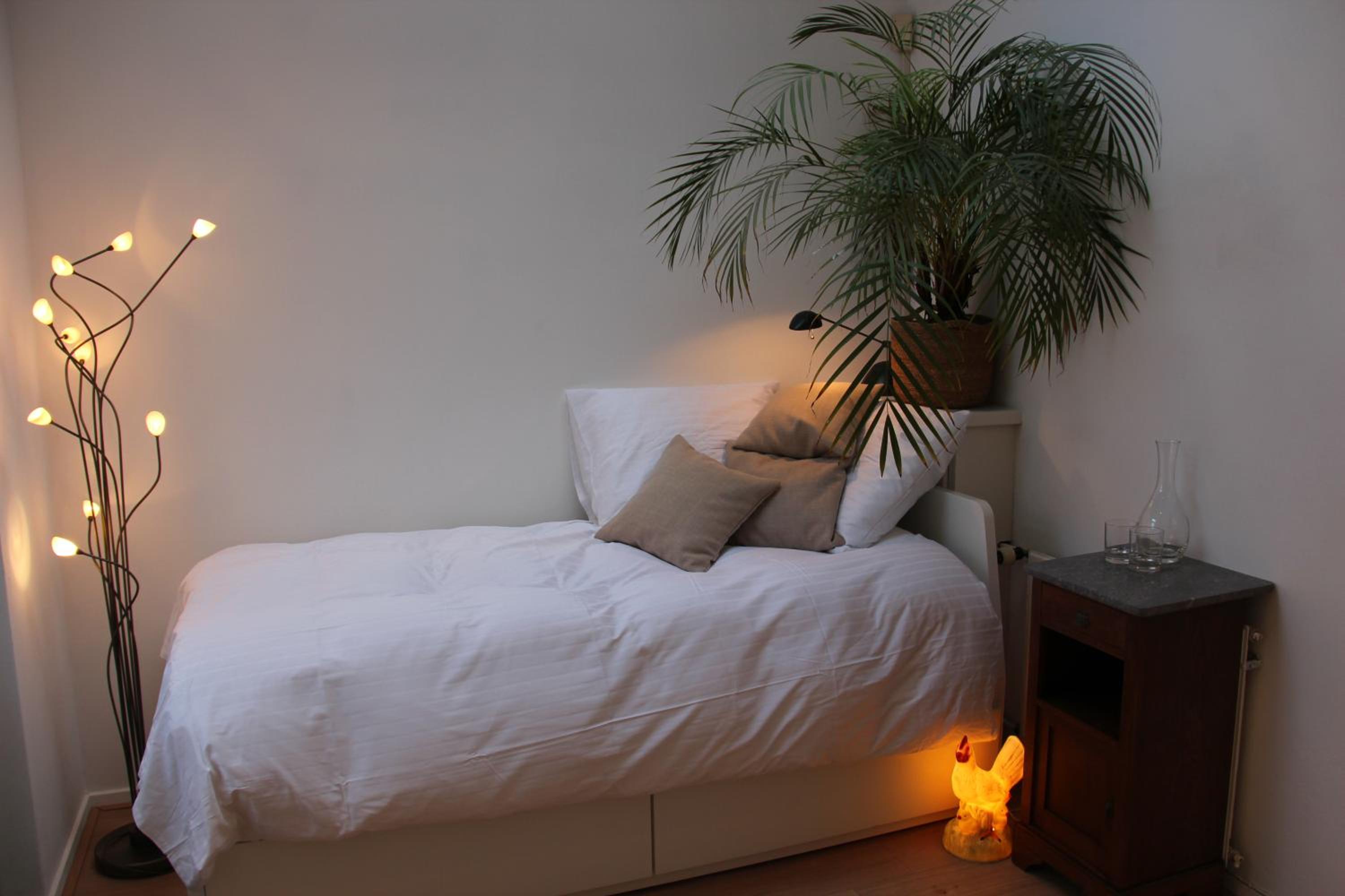 B&B de Dorpsdokter