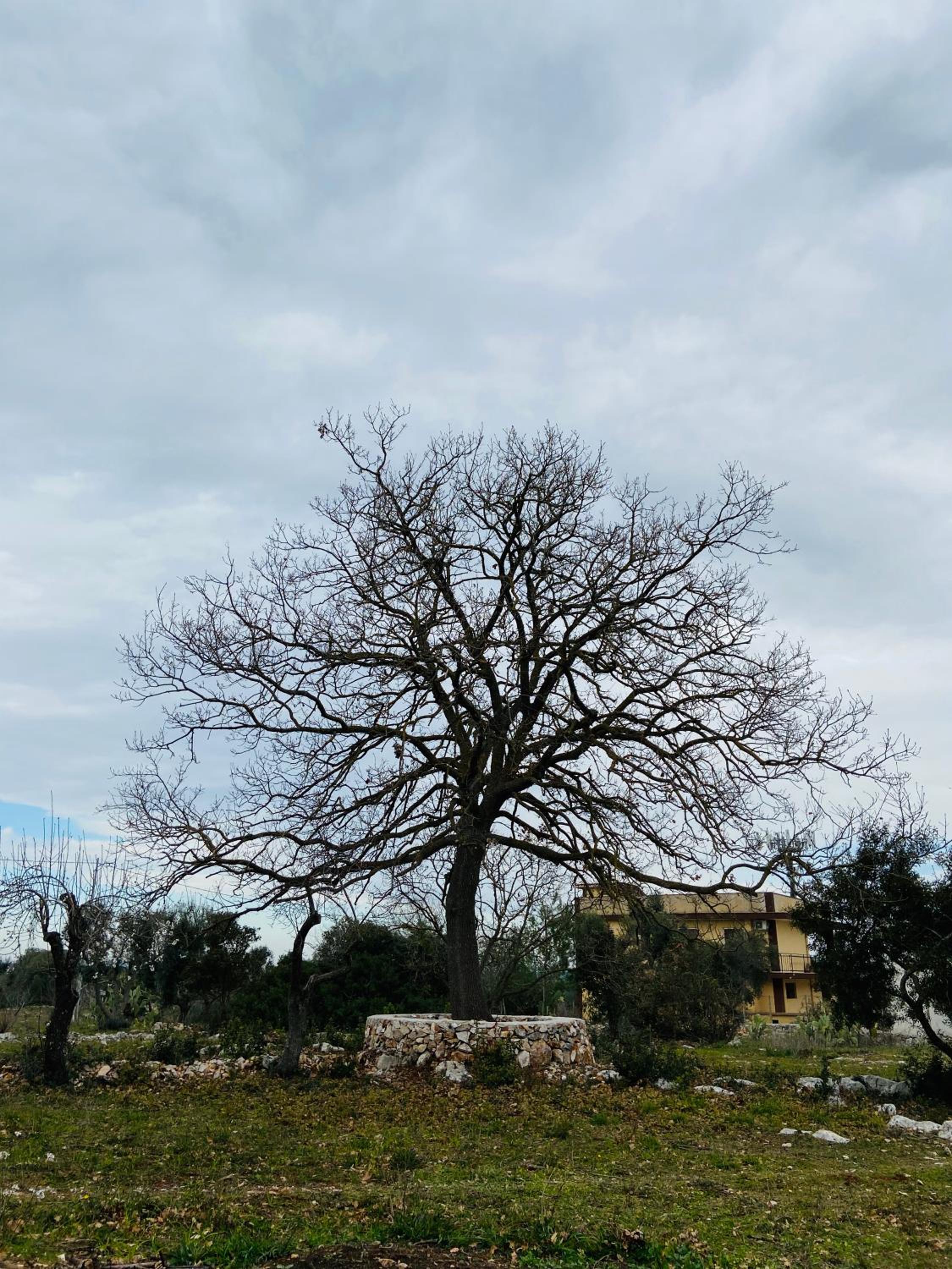 Trullo Cristelle