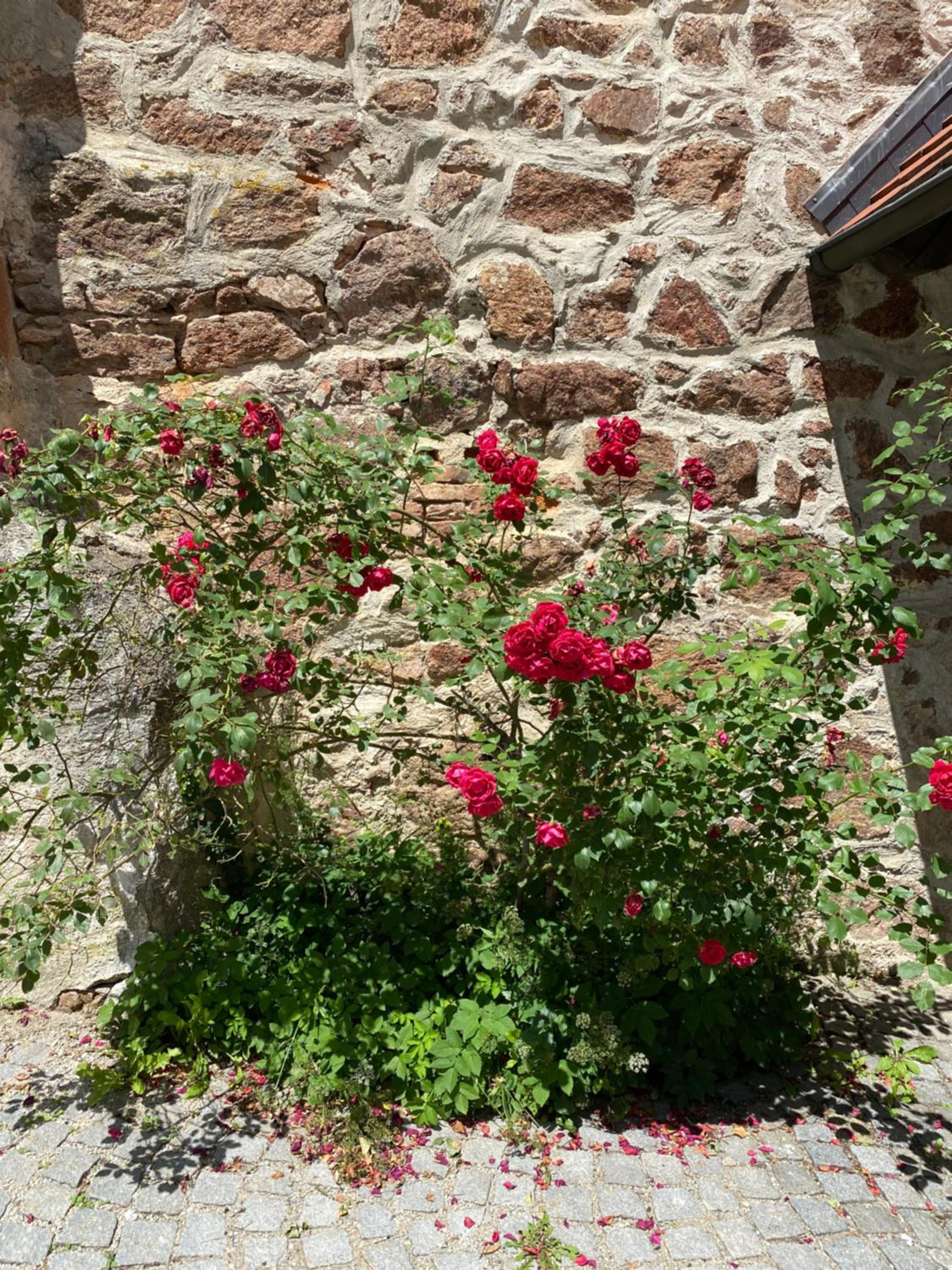 Gästehaus Mälzerei auf Schloss Neuburg am Inn