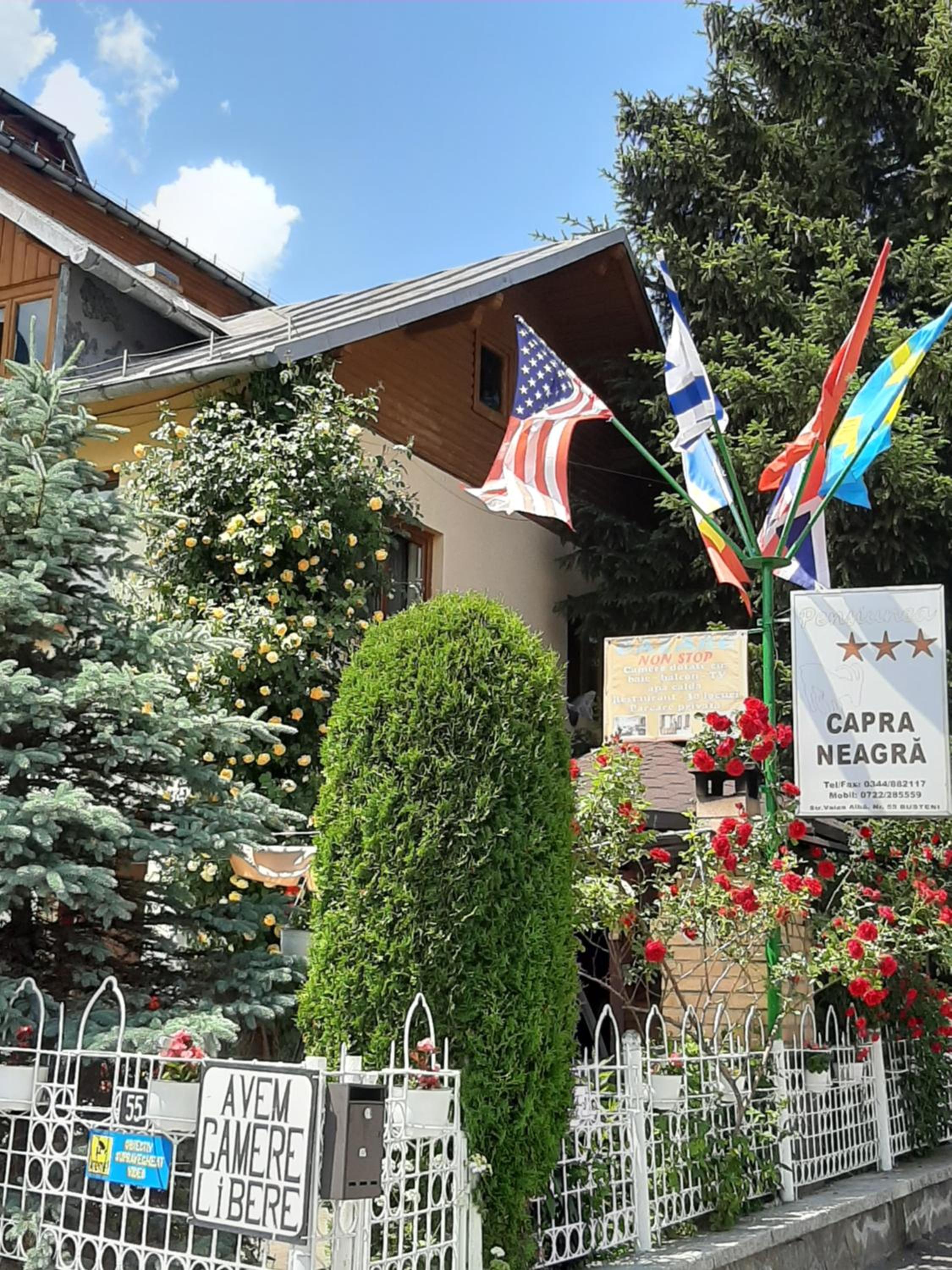 PENSIUNEA CAPRA NEAGRĂ view 5