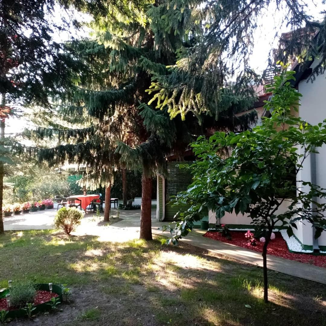 Photo 45