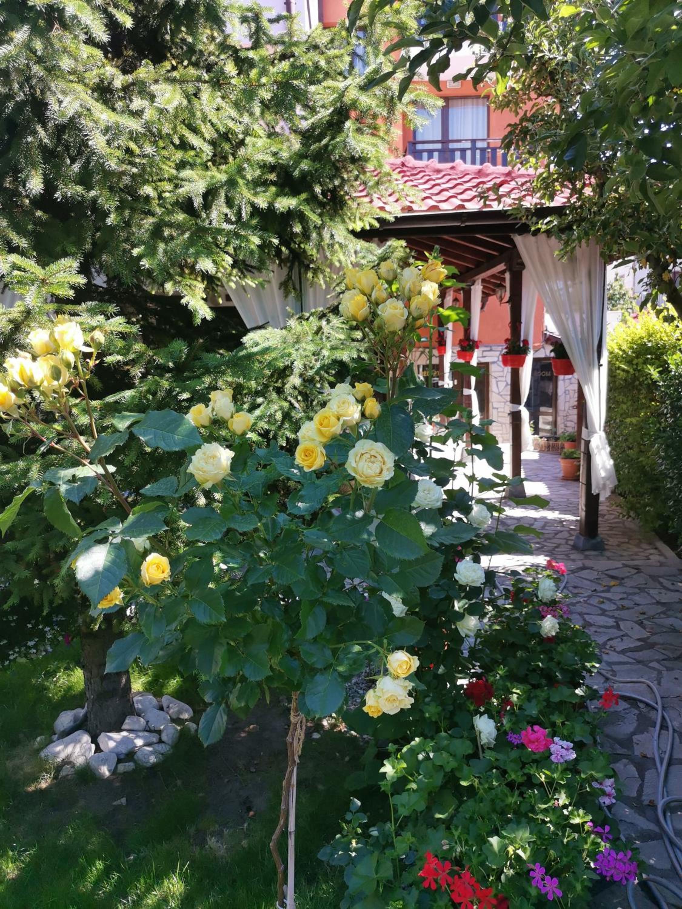 Bansko Vacations - Boutique Guest House IKONOMOV - Property Image 45