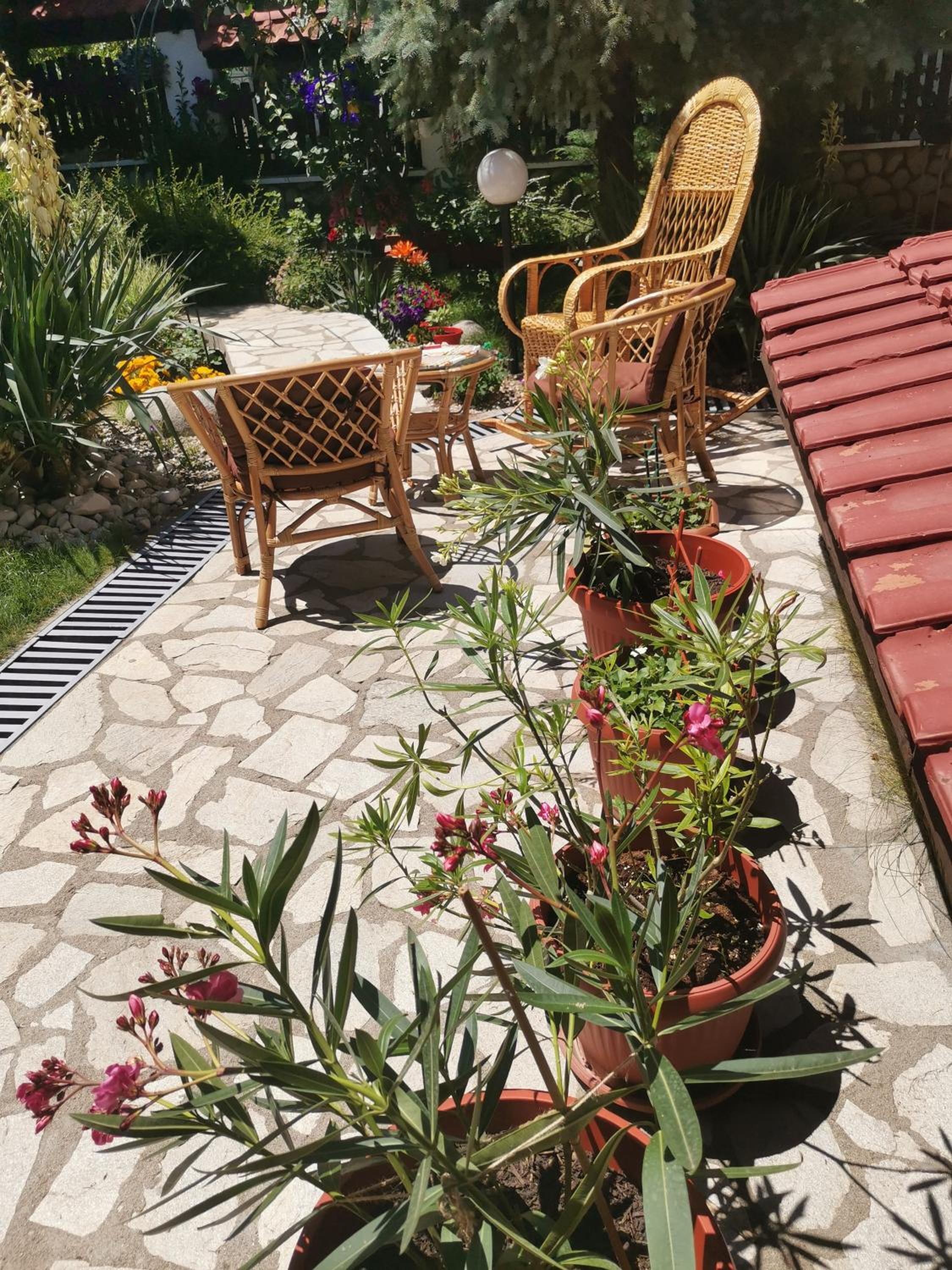 Bansko Vacations - Boutique Guest House IKONOMOV - Property Image 41