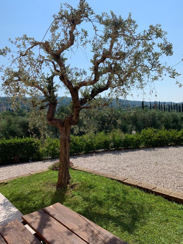 Casa Mìtìlà view 3