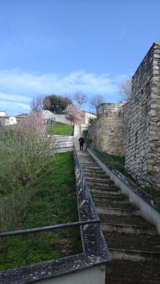 Photo 29