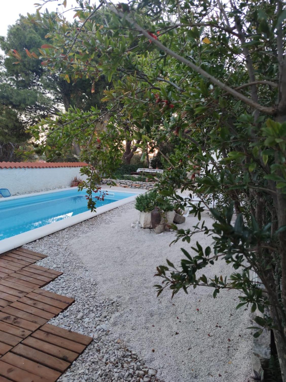 Vacation house Milka