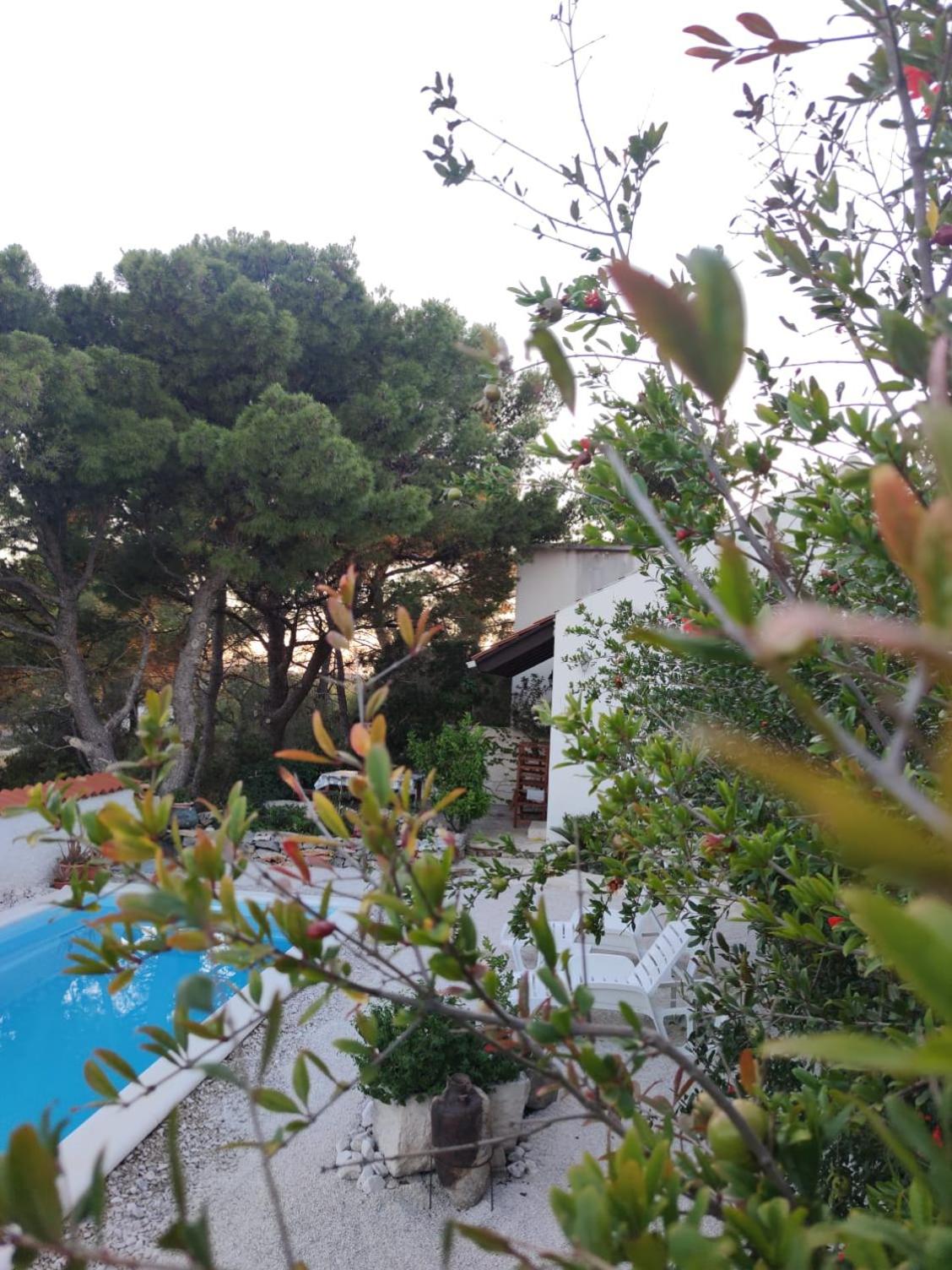 Vacation house Milka