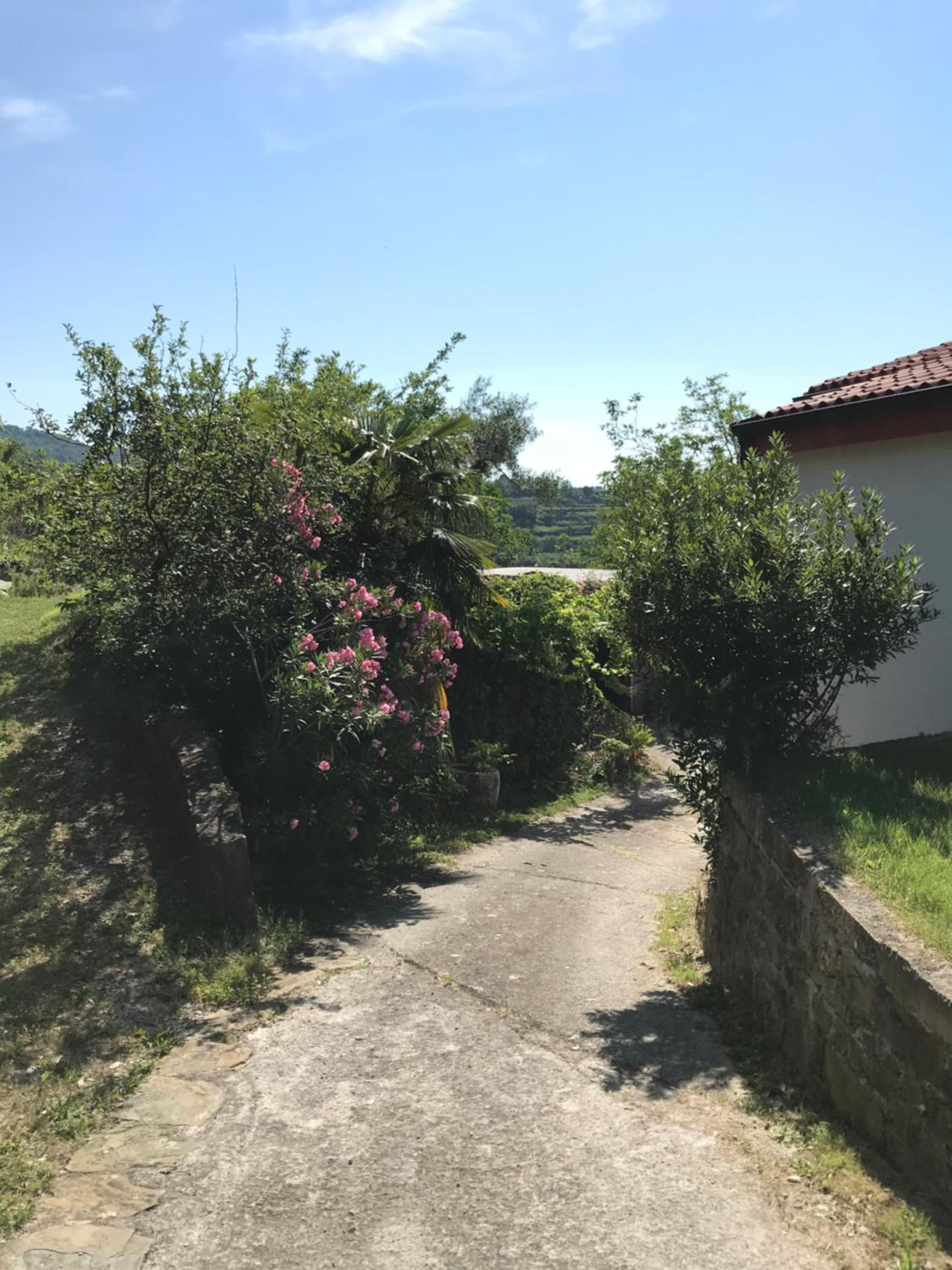 Apartment Nona Ervina