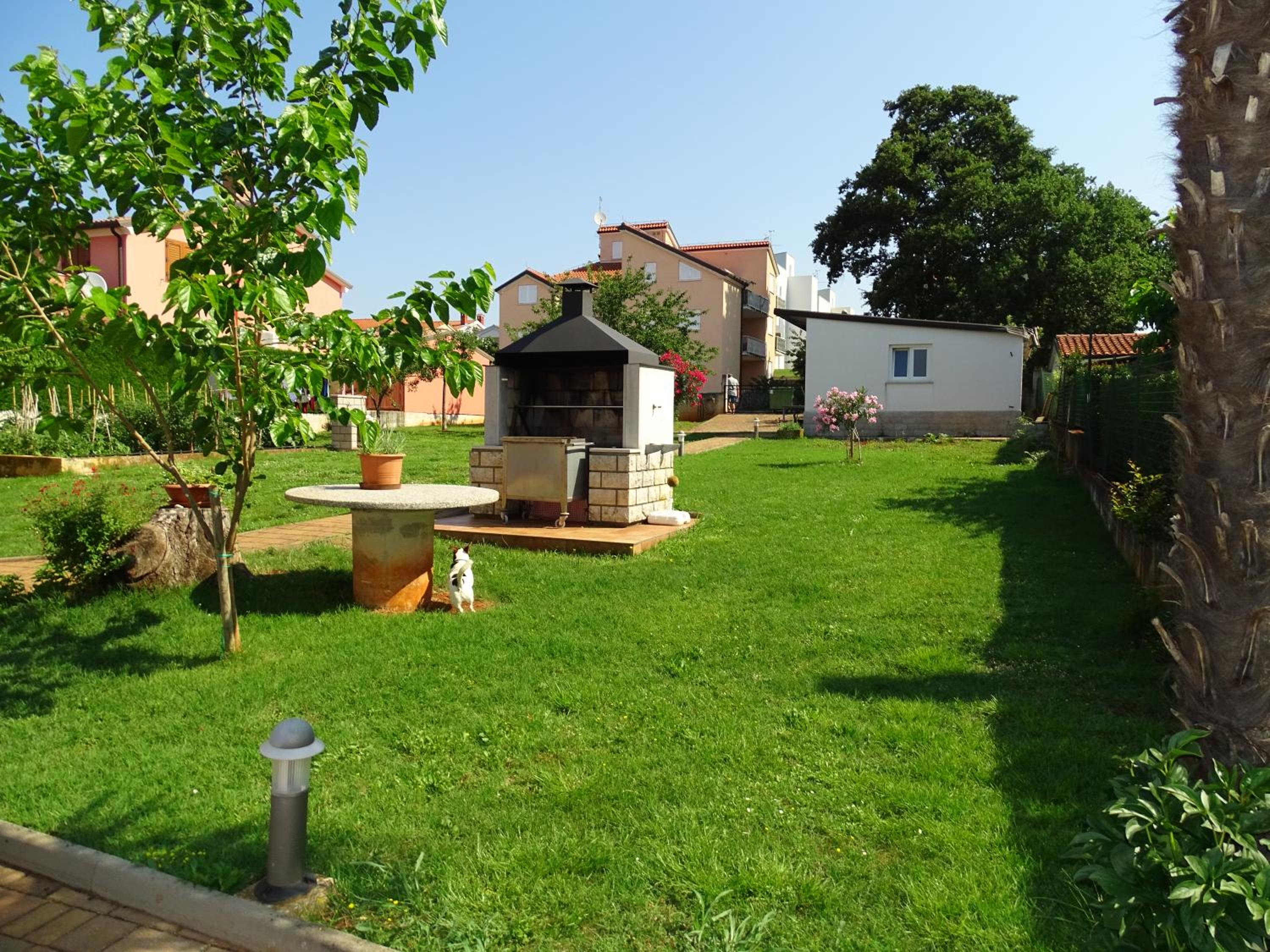 Photo 21