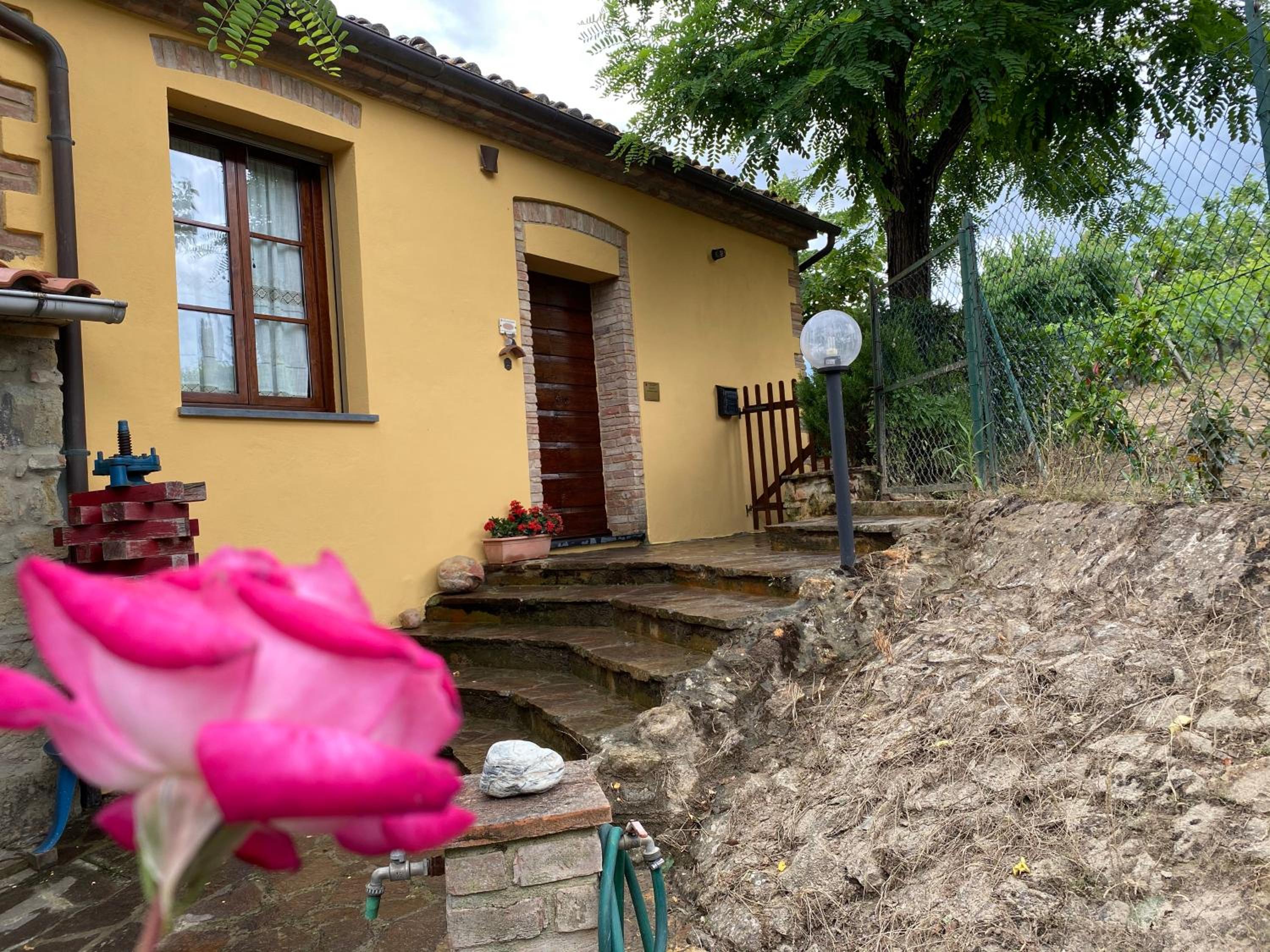 Photo 8