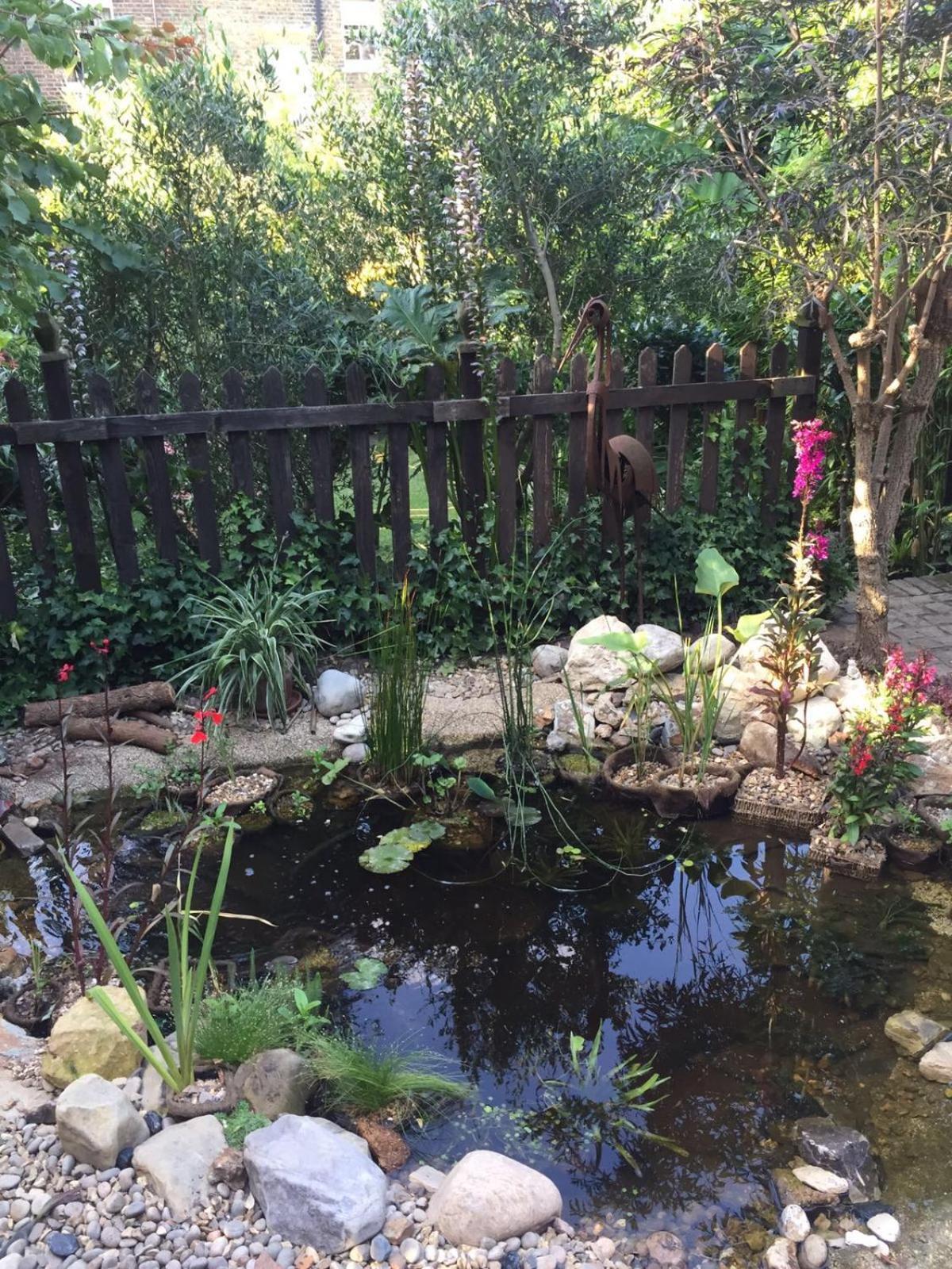 garden