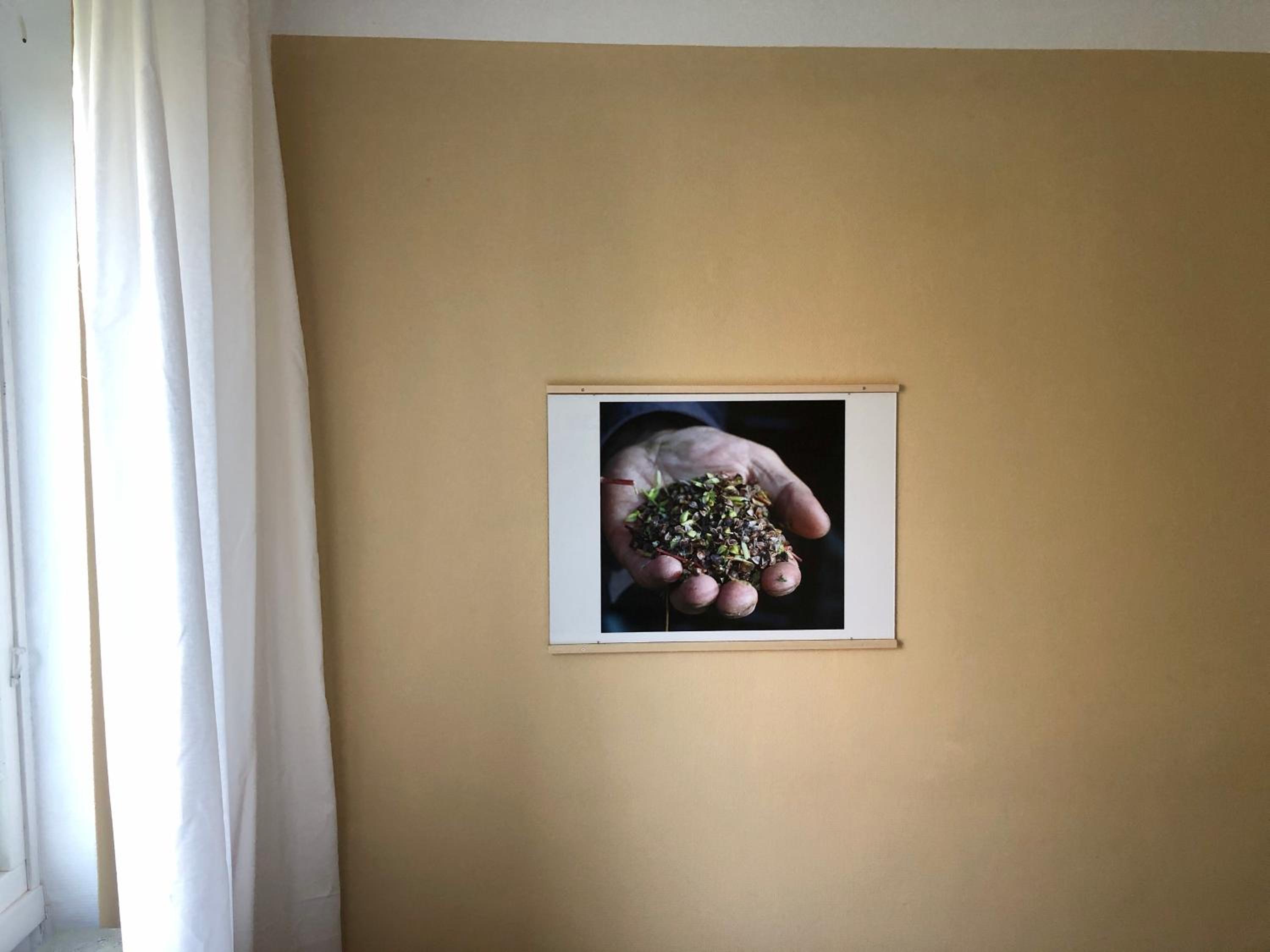 Photo 55