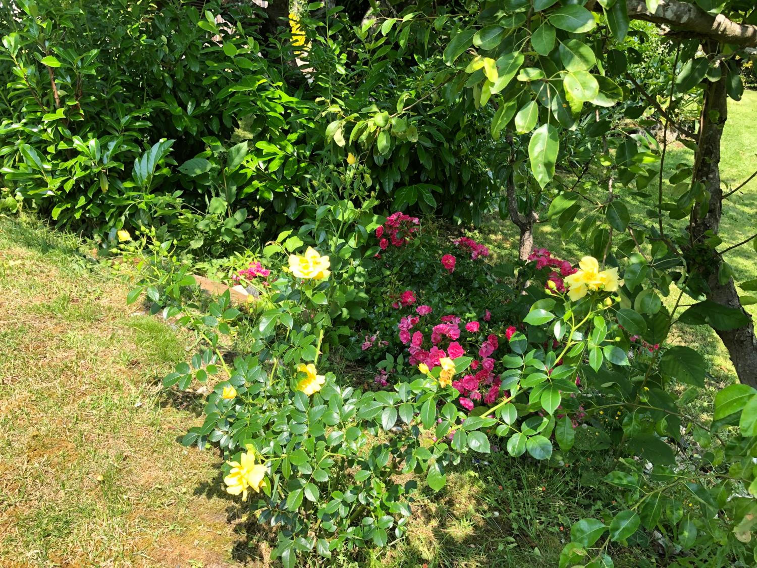 Photo 14