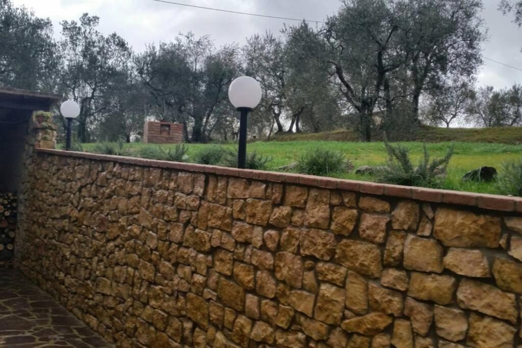Il Picchio Verde view 5