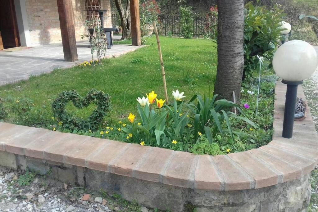 Photo 20