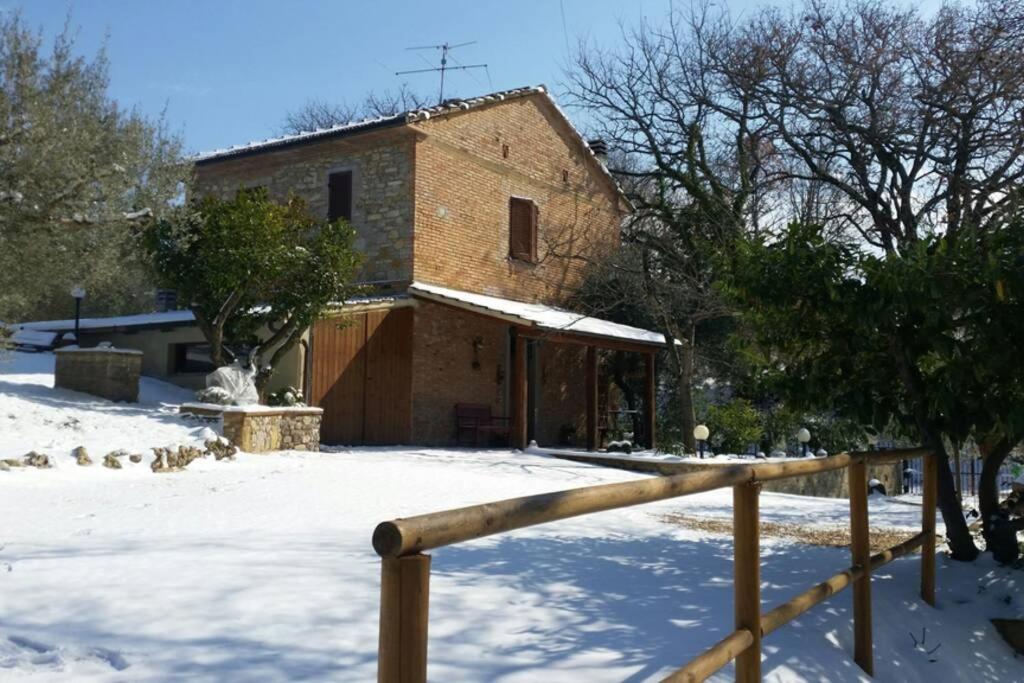 Photo 26