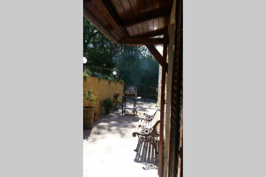 Photo 31