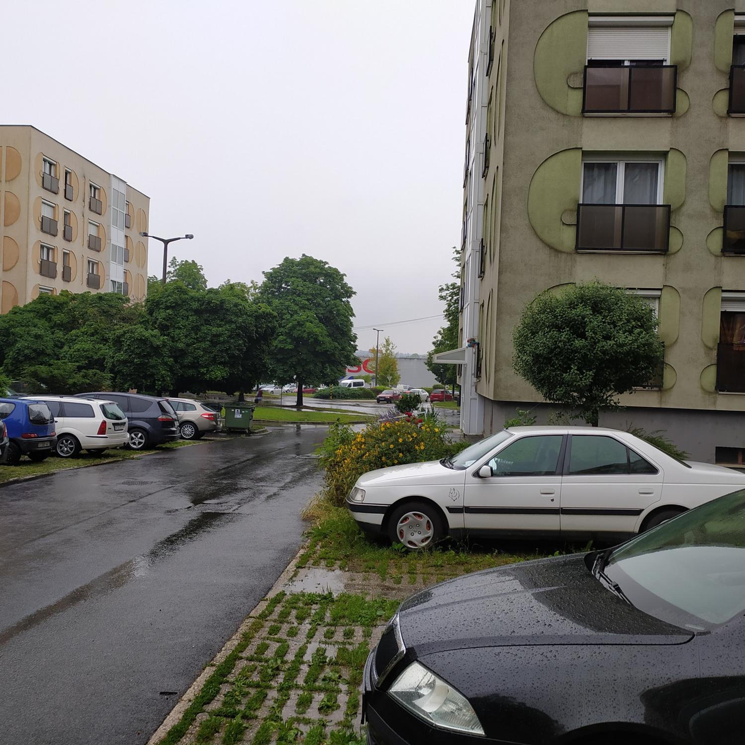 Photo 31