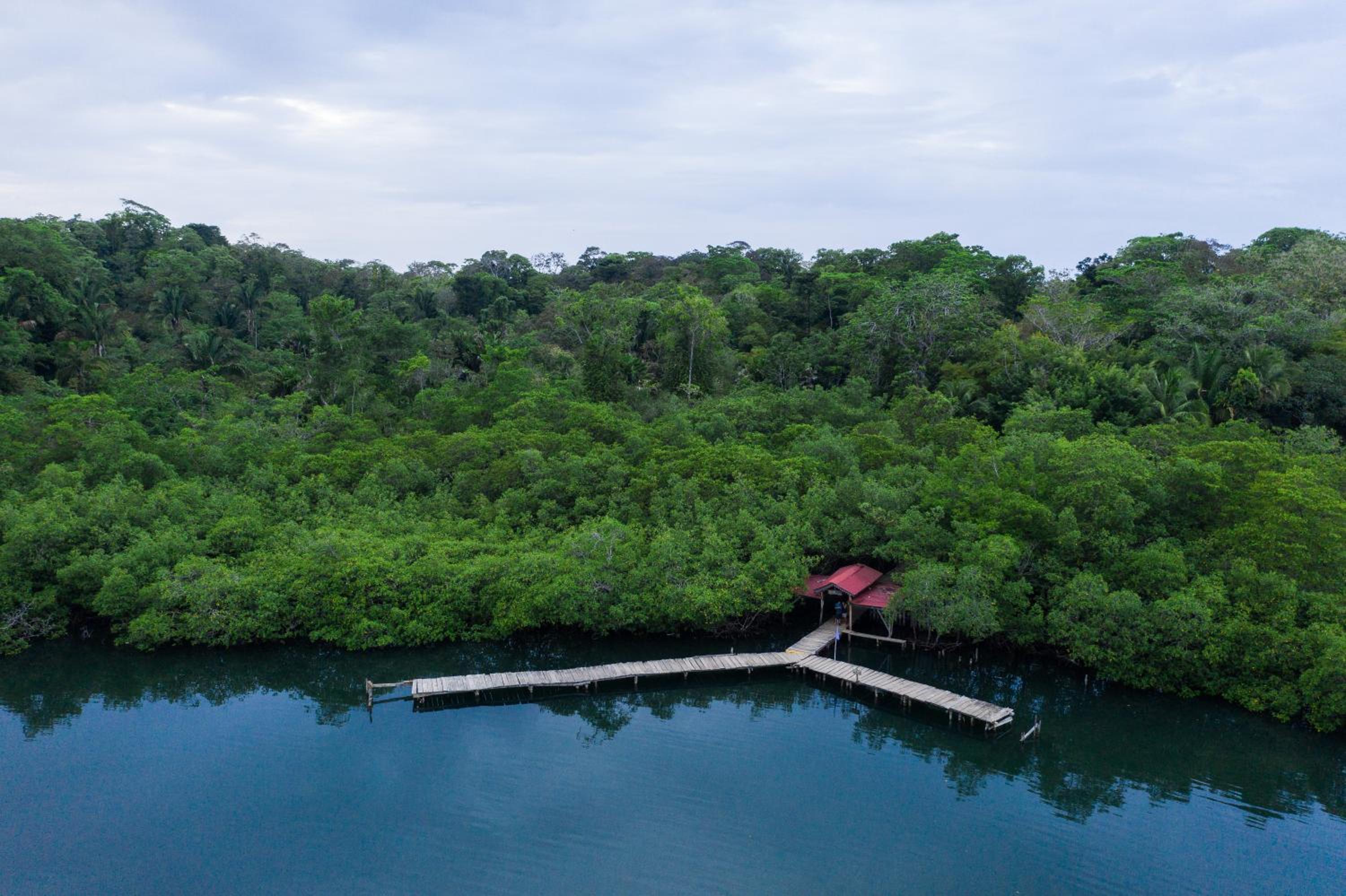 Palmar Beach Lodge