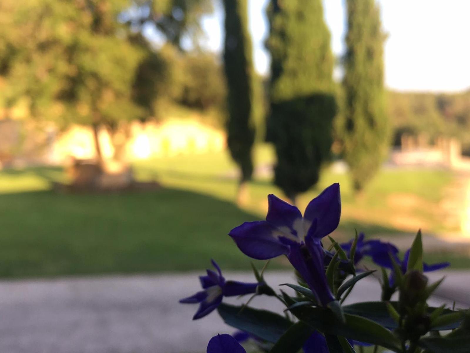 Photo 36