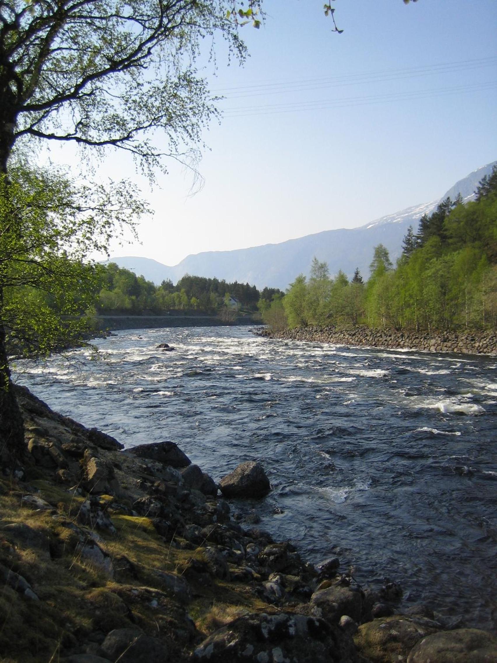 Photo 21