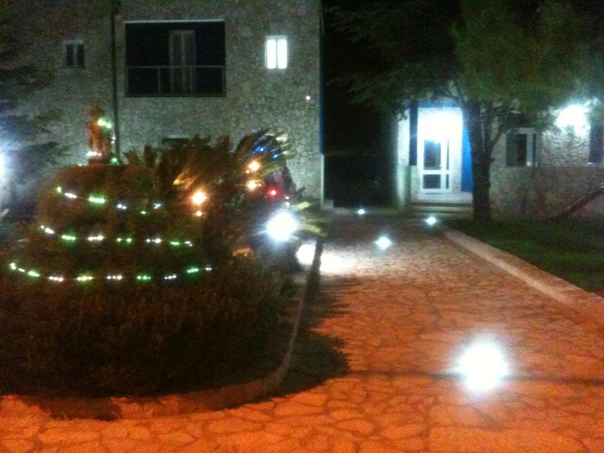 Photo 8