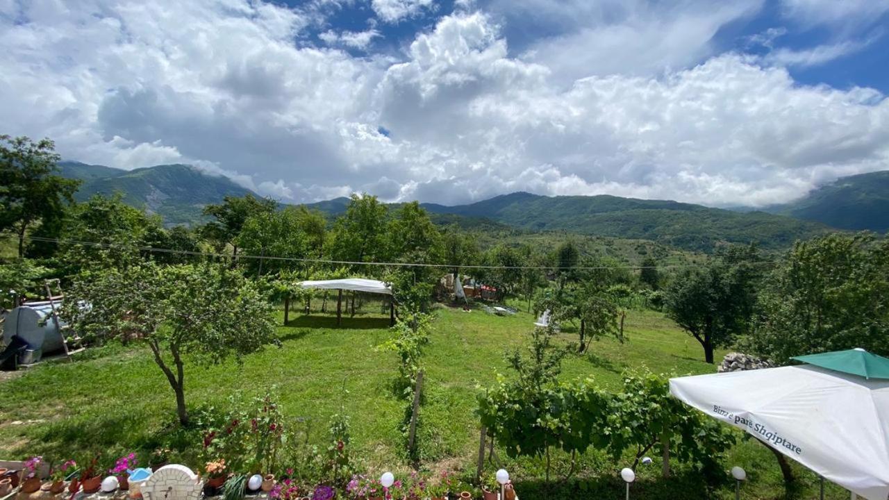 VILA DISHA