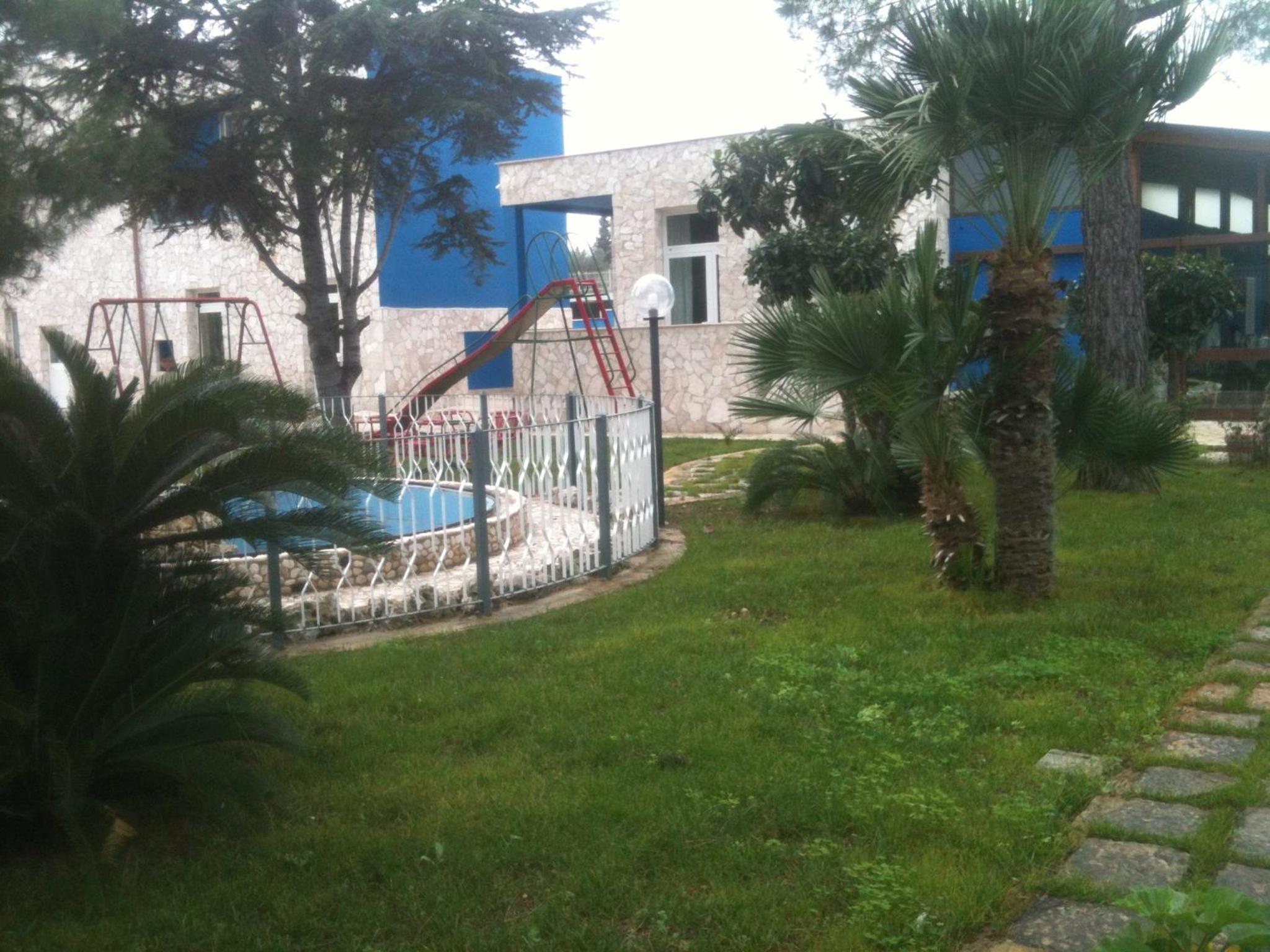 Photo 11