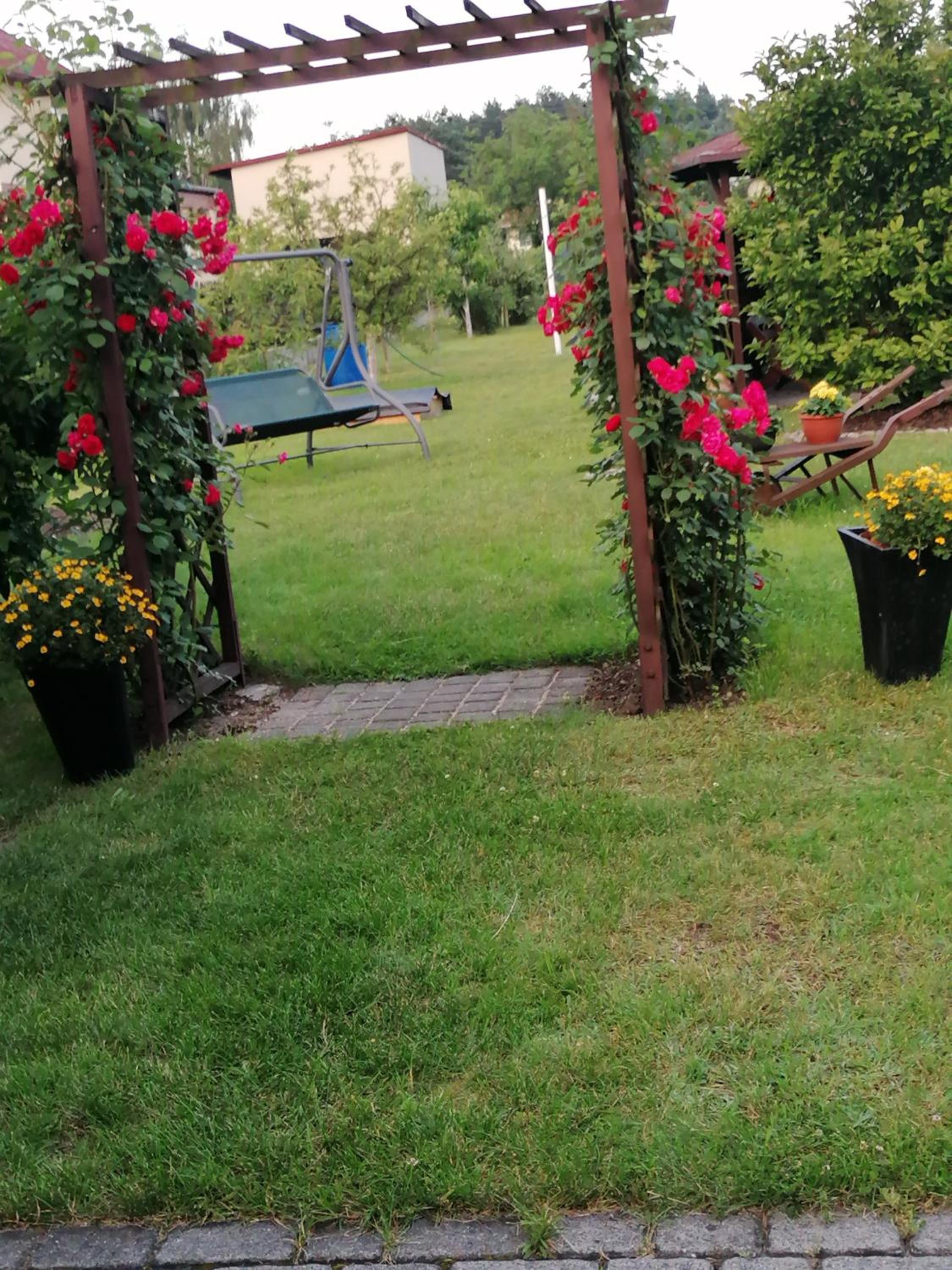 Photo 26