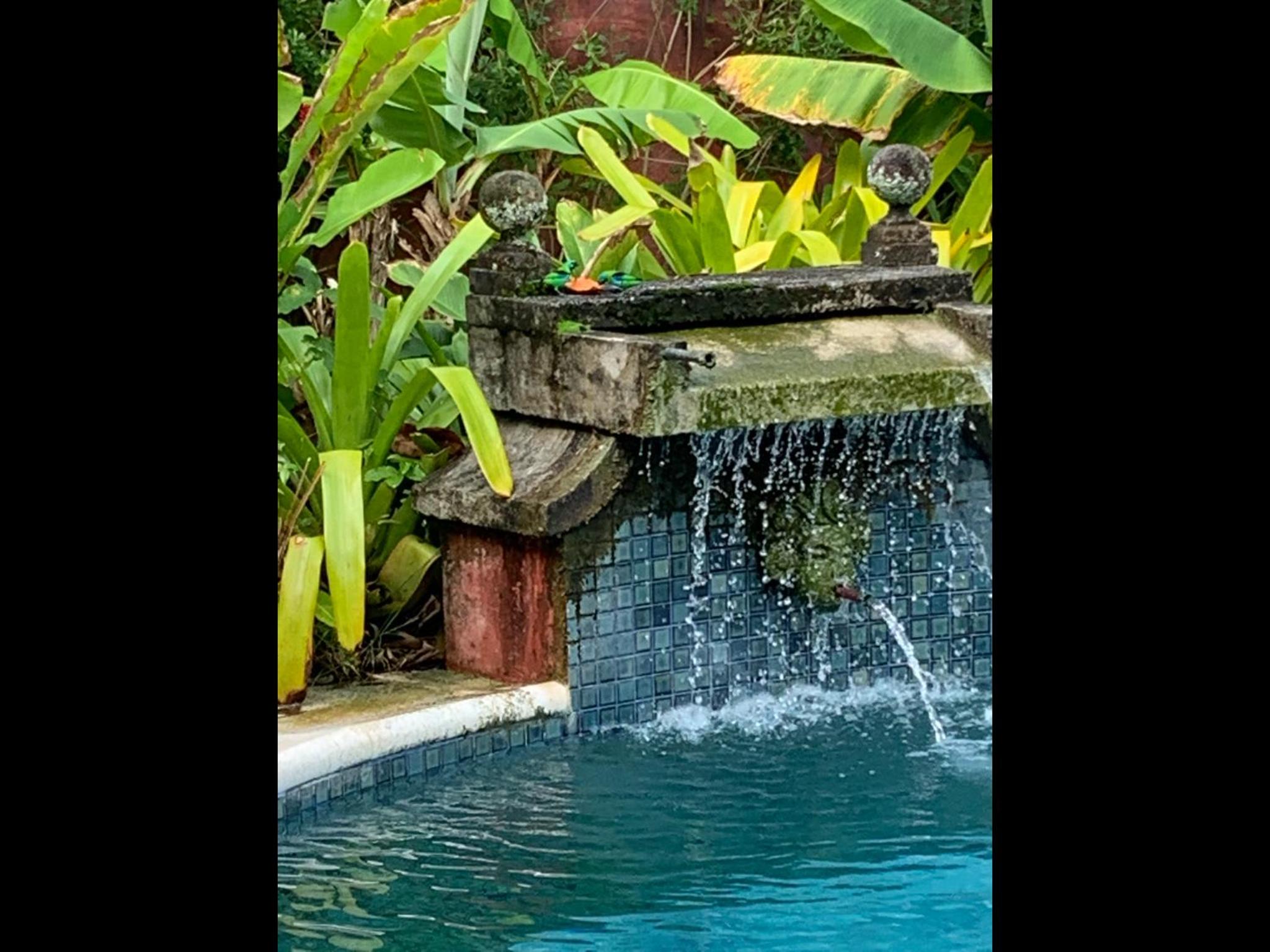 Villa Paradiso Pousada view 3
