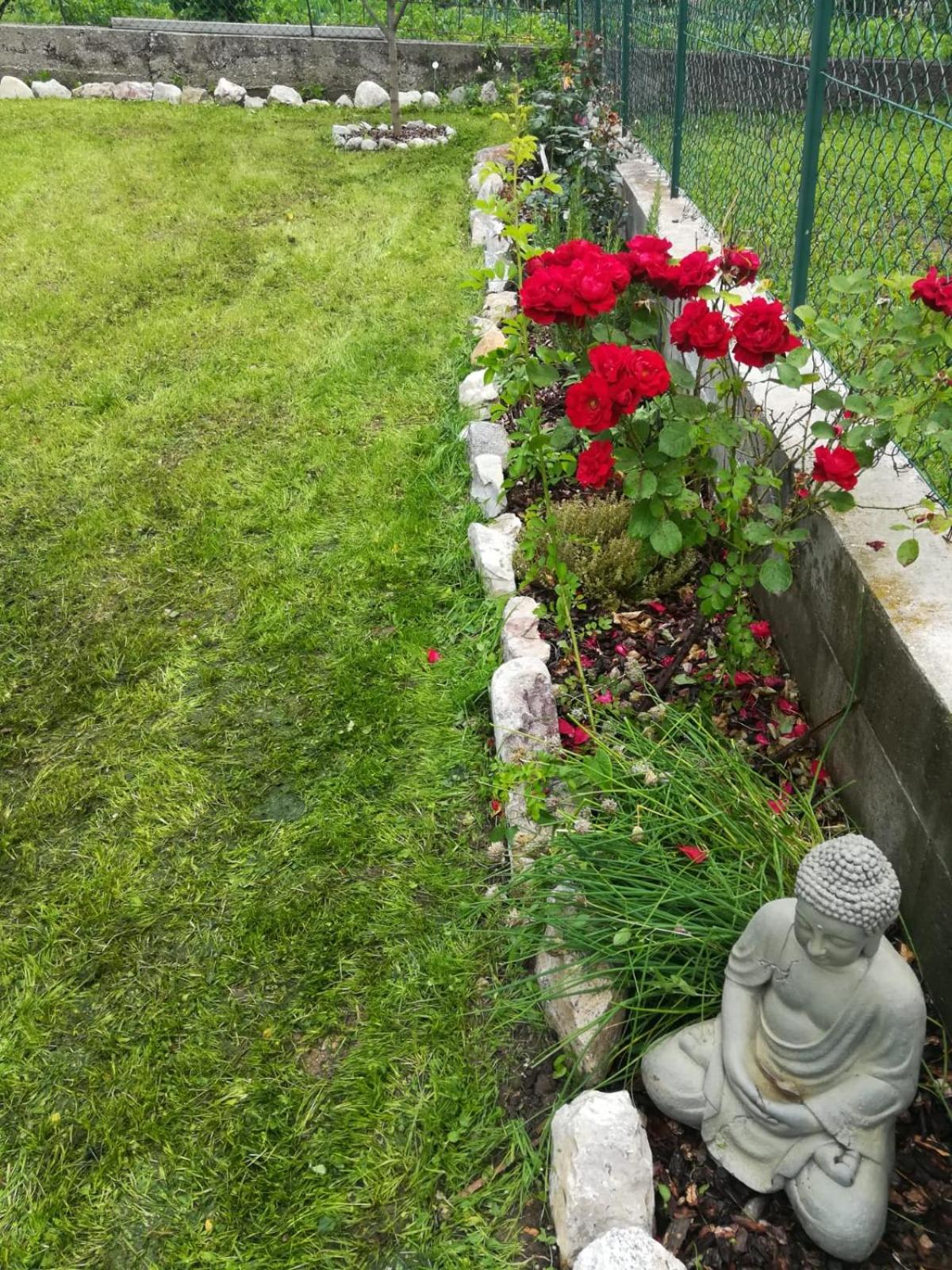 Photo 26