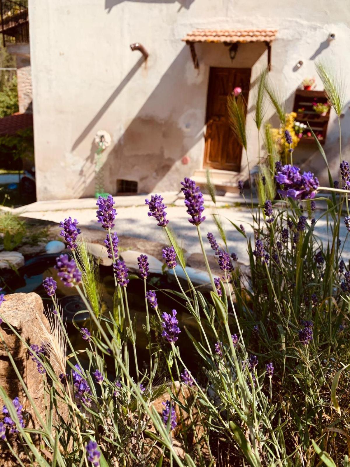 B&B Paradiso view 5