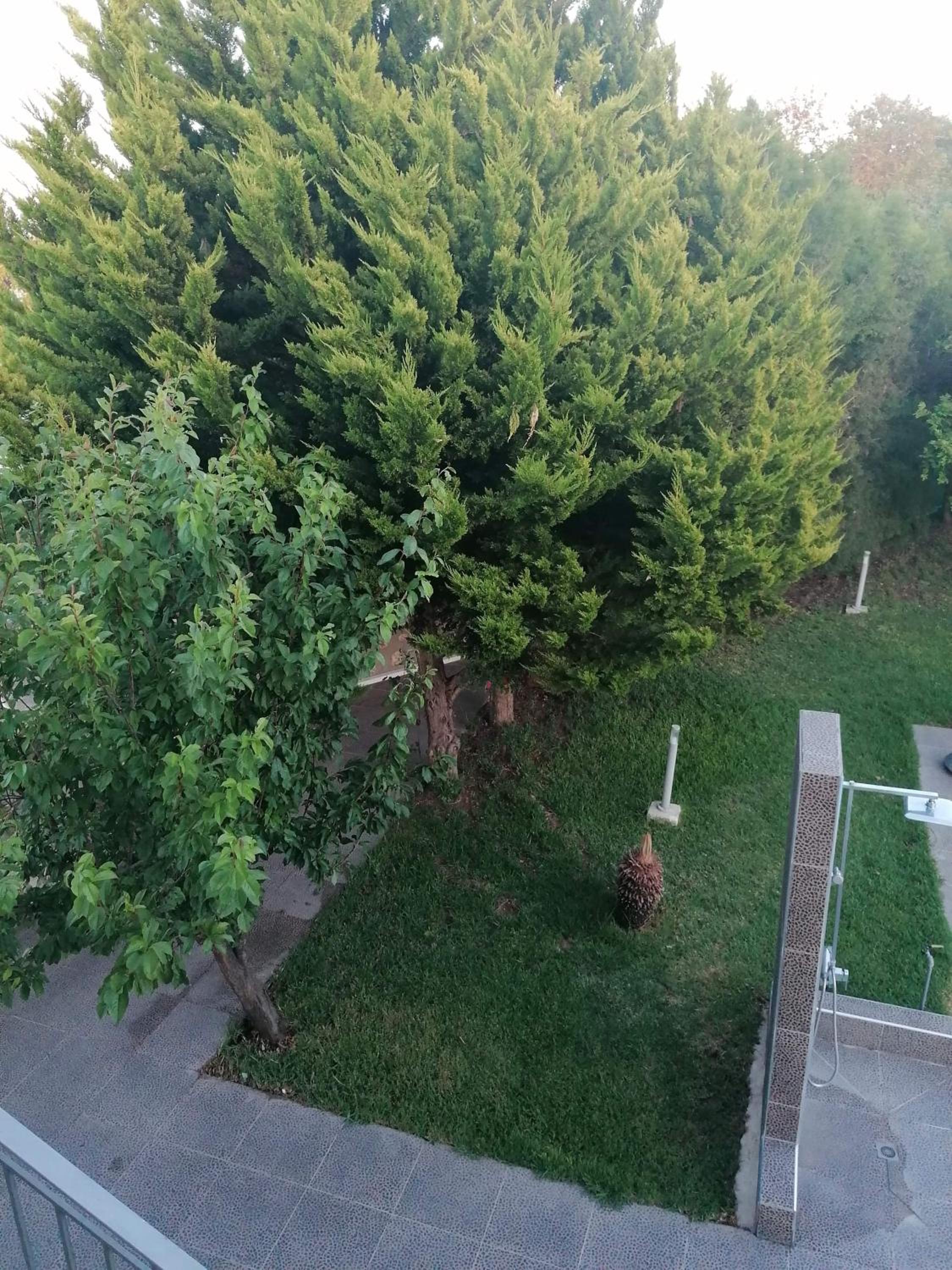 Photo 57