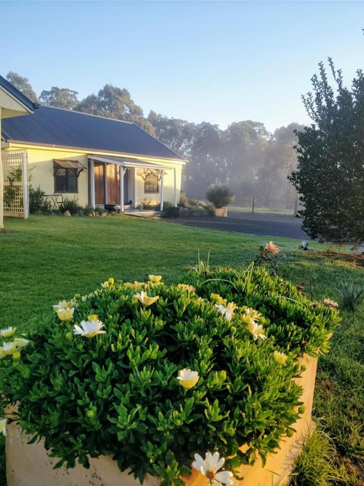 Straw House Farm - STANTHORPE