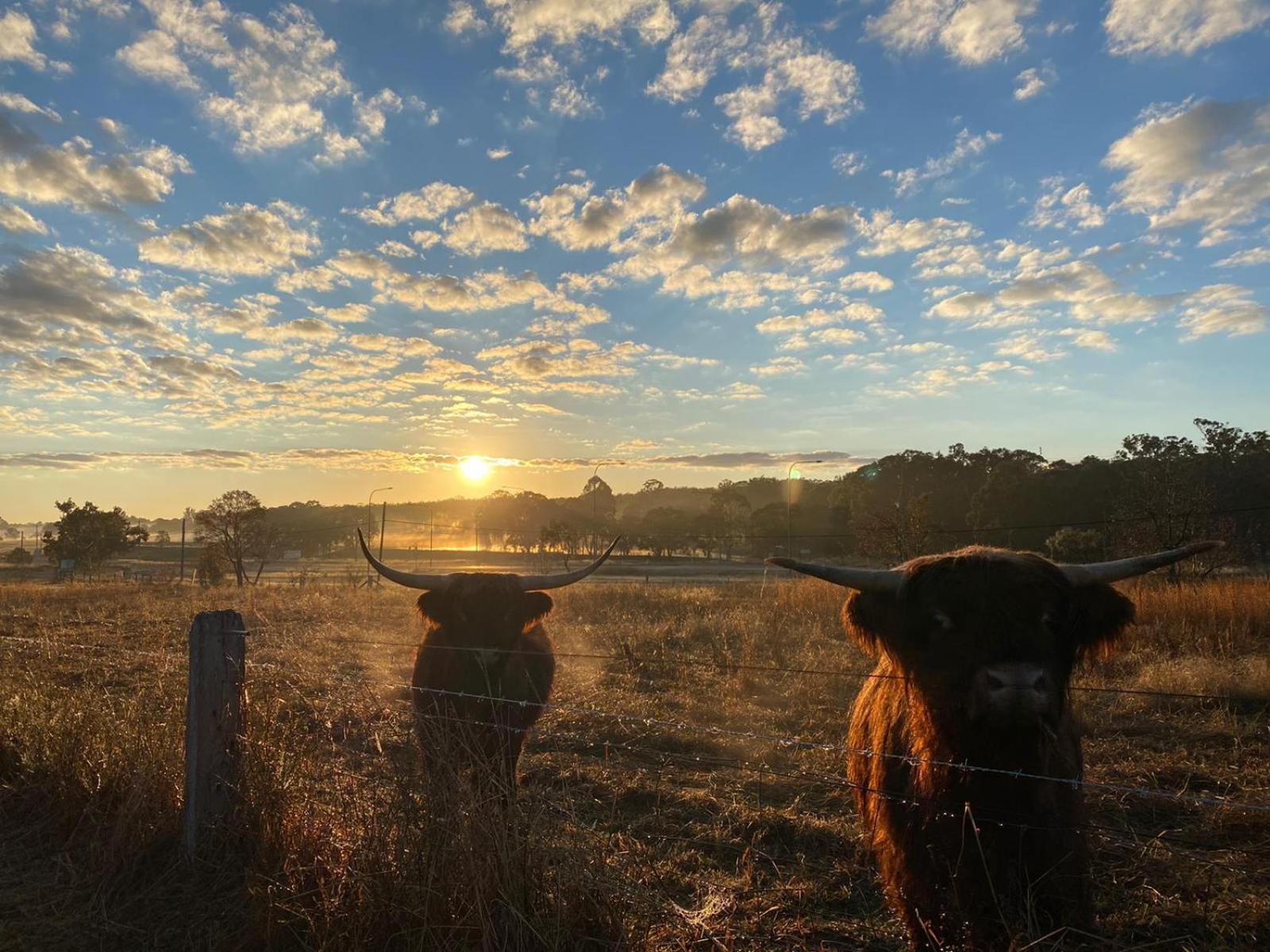 Straw House Farm - STANTHORPE