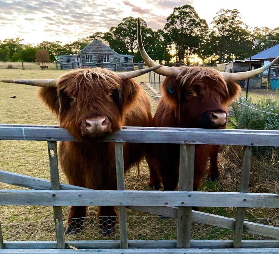 Straw House Farm - STANTHORPE