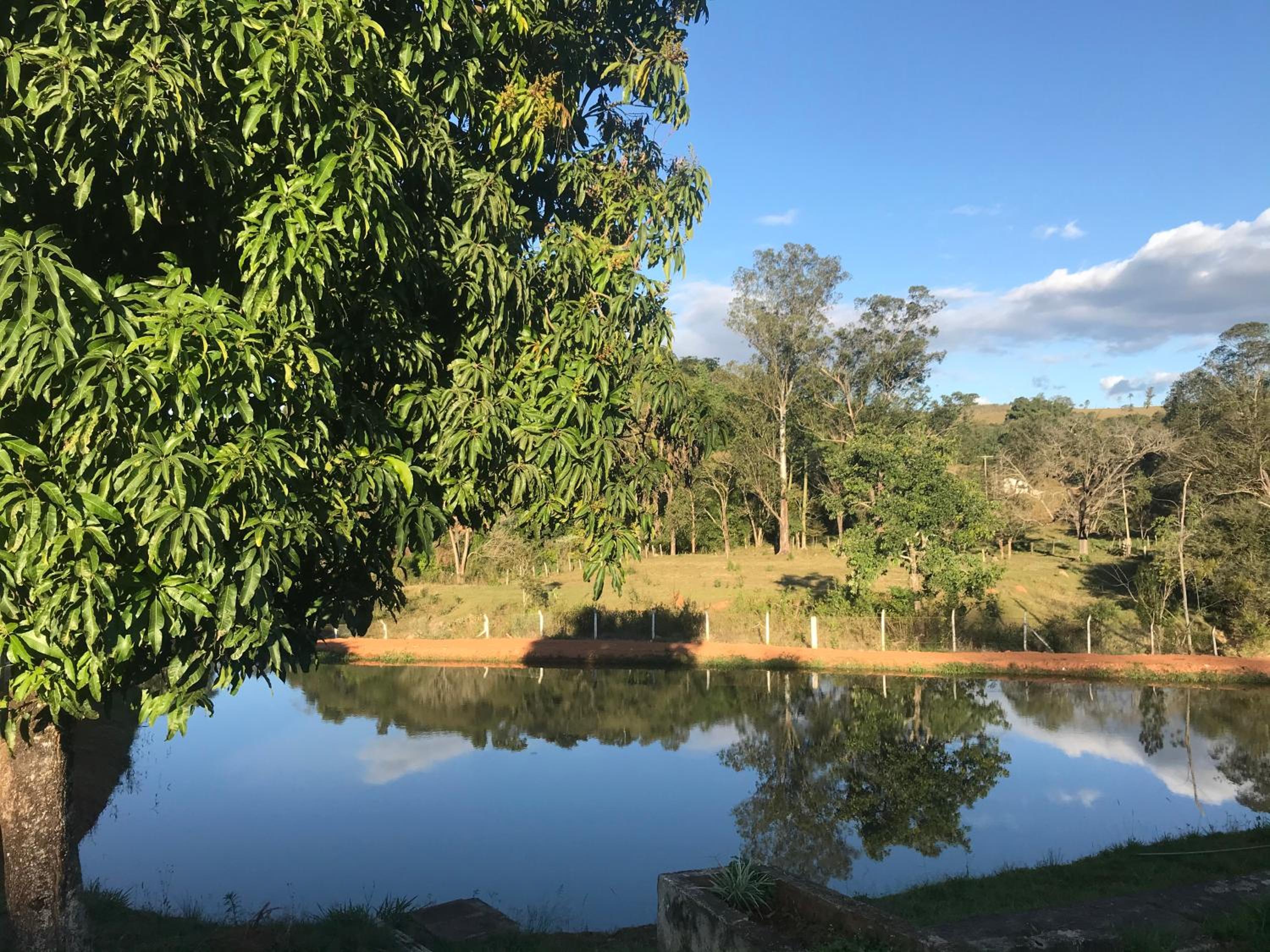 Sítio dos Rodrigues