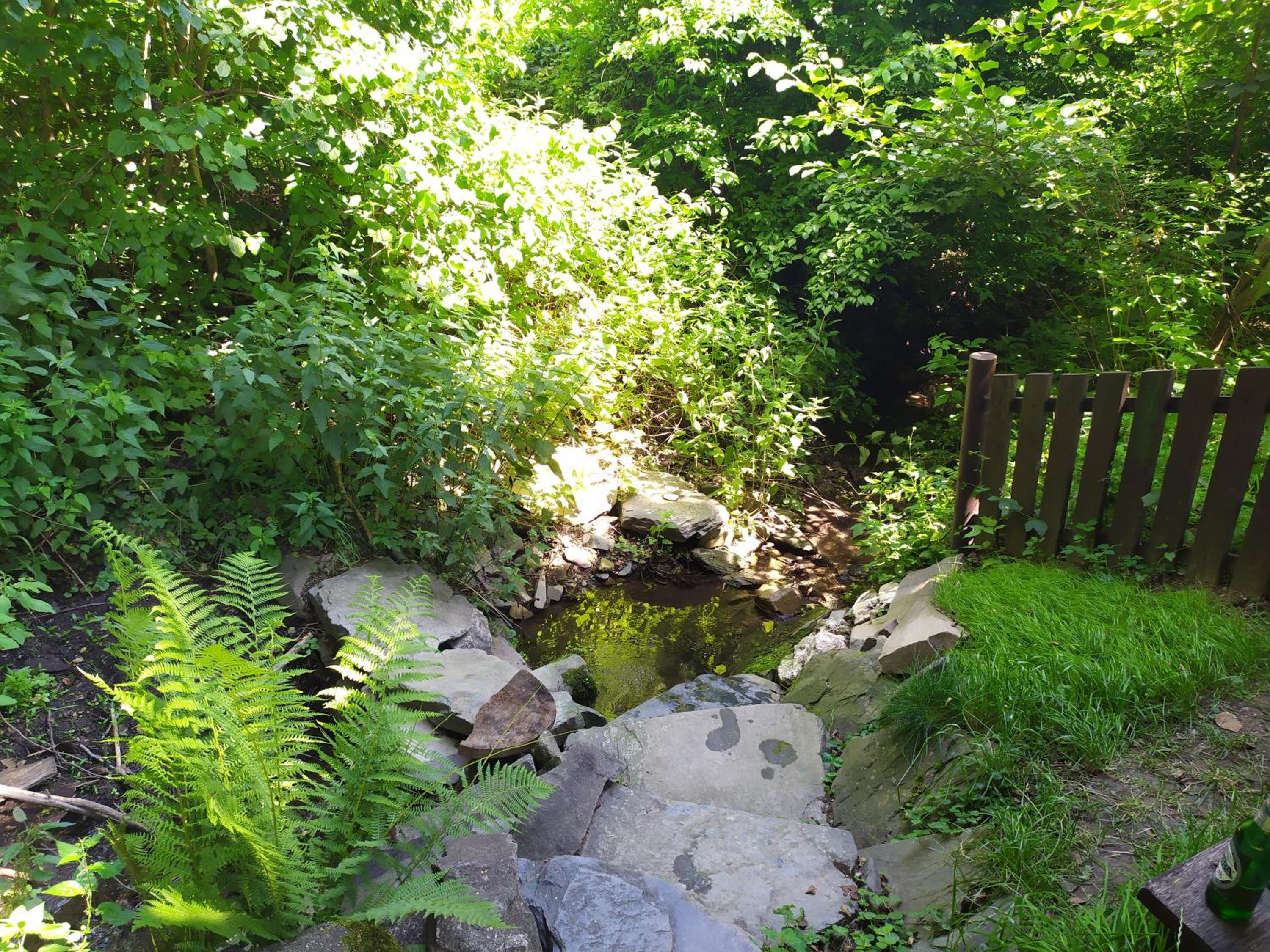 Photo 40