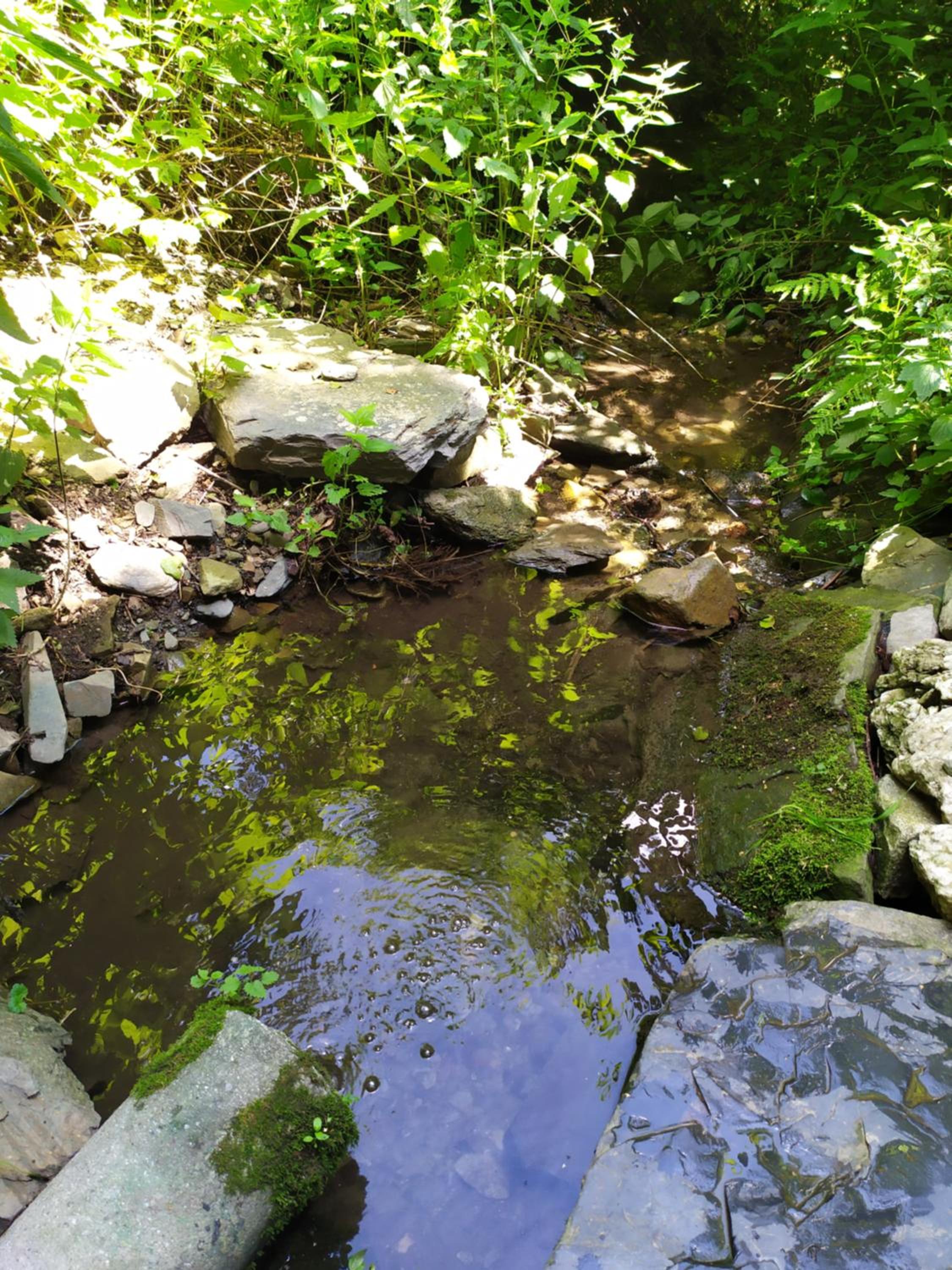 Photo 46