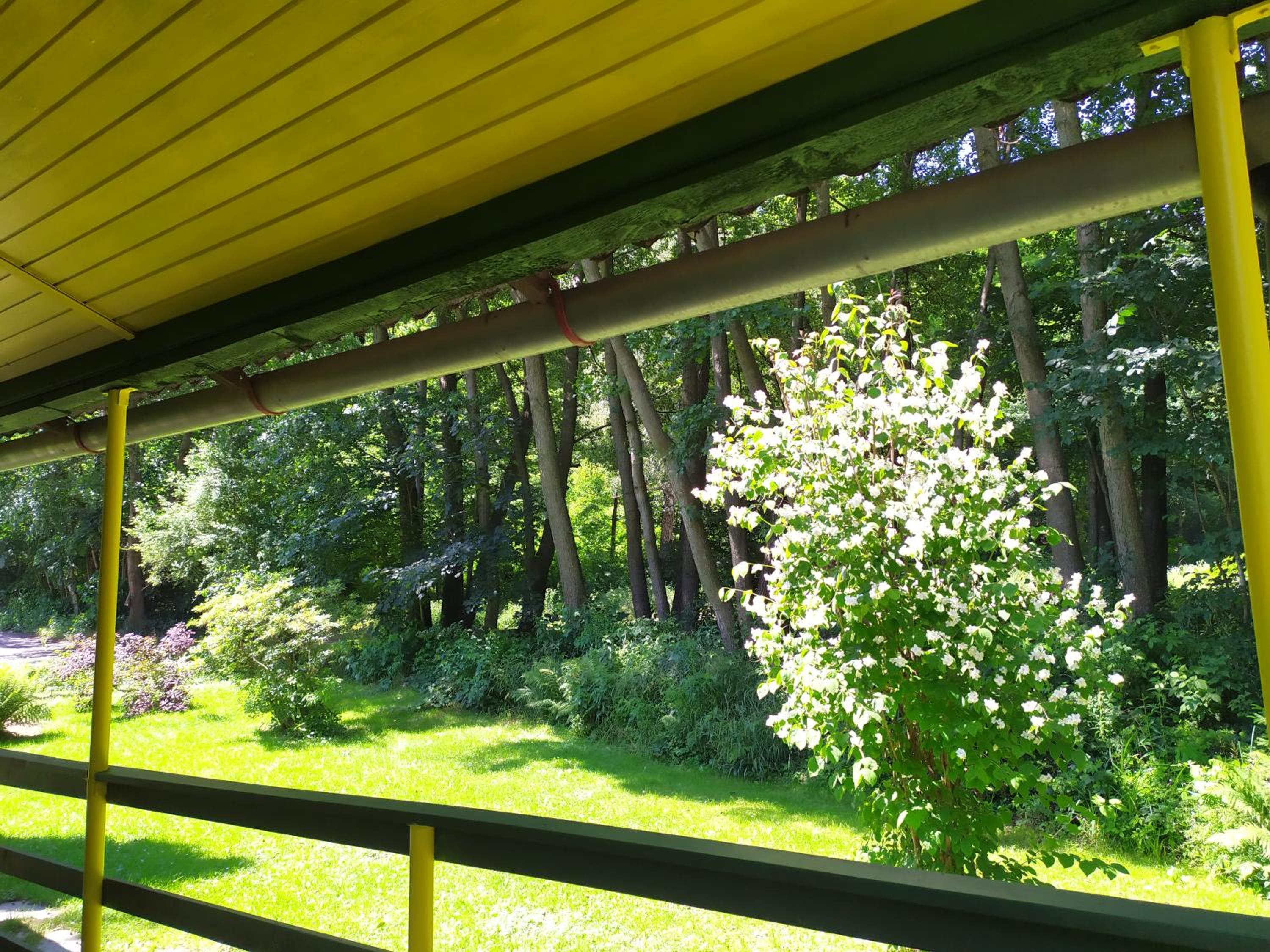 Photo 45