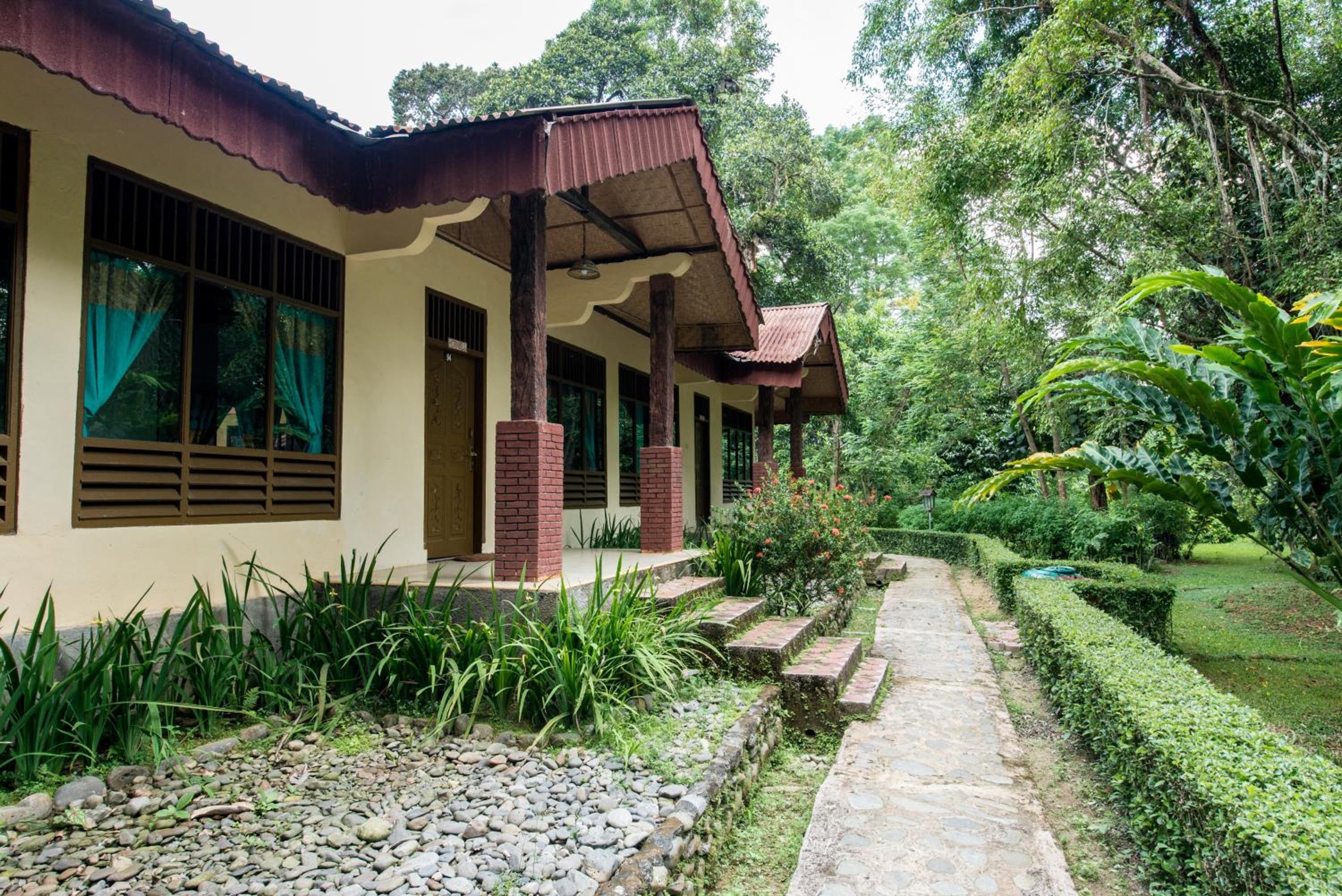 Ecolodge Bukit Lawang