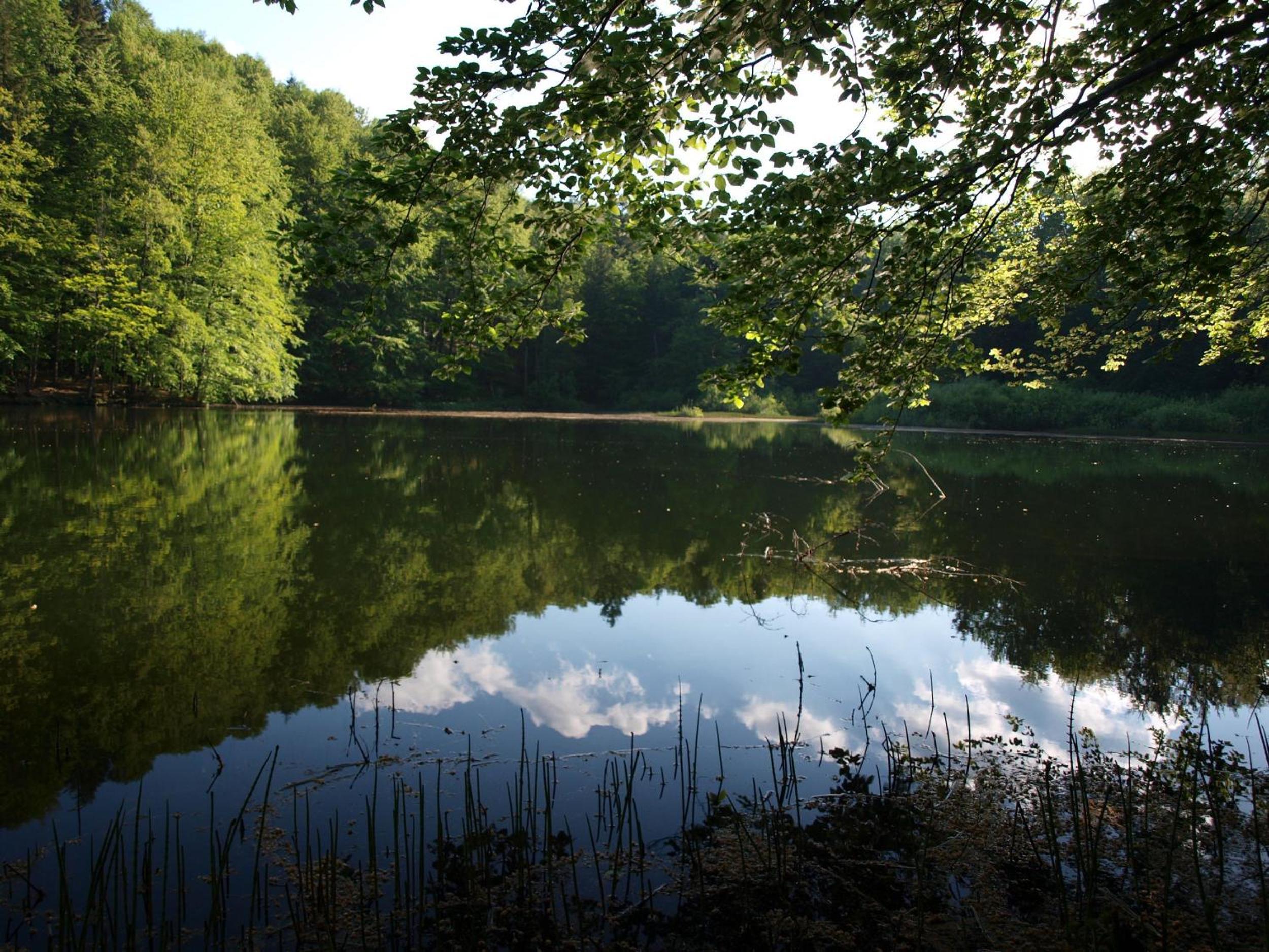 Agroturystyka Smolnikowe Klimaty - Sauna&Jacuzzi