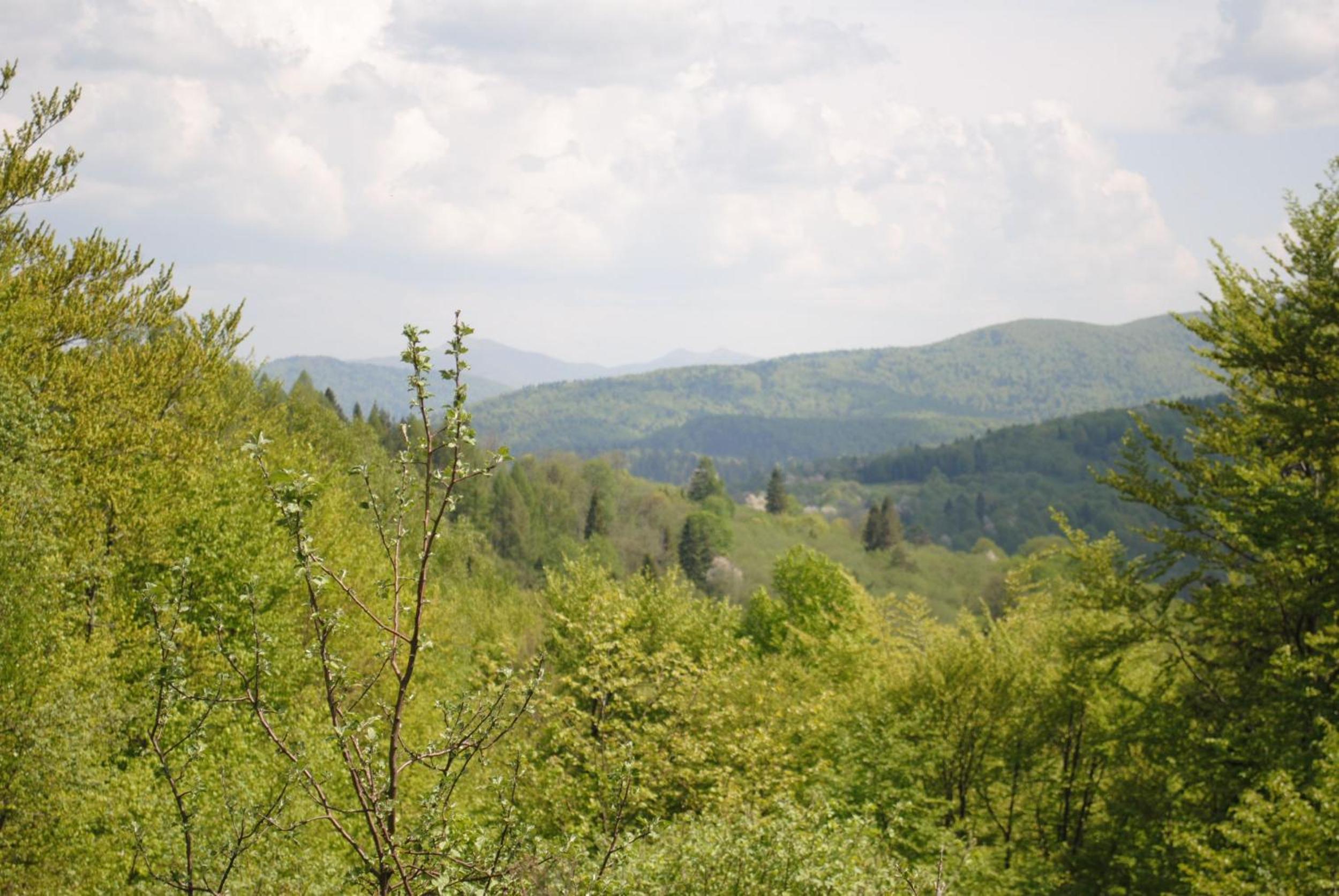 Agroturystyka Smolnikowe Klimaty - Sauna&Jacuzzi