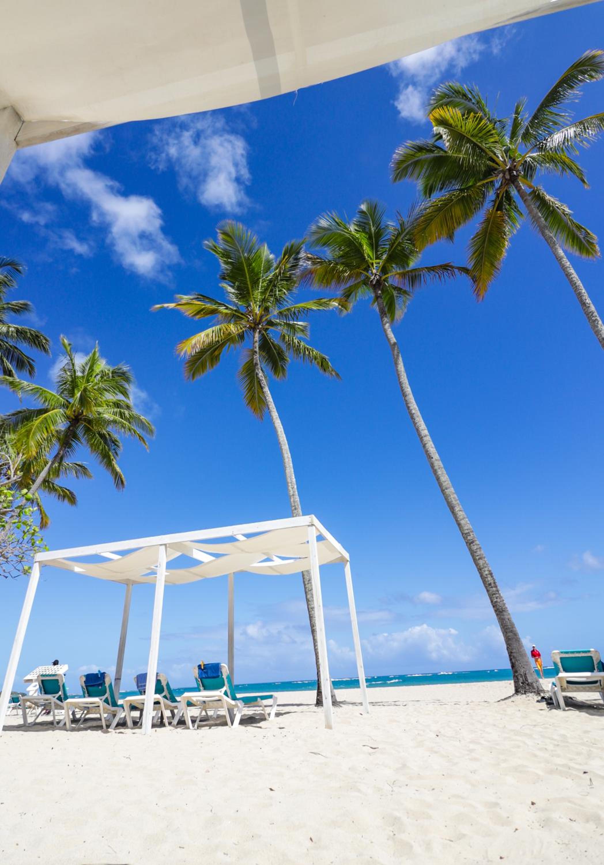Emotions by Hodelpa Puerto Plata