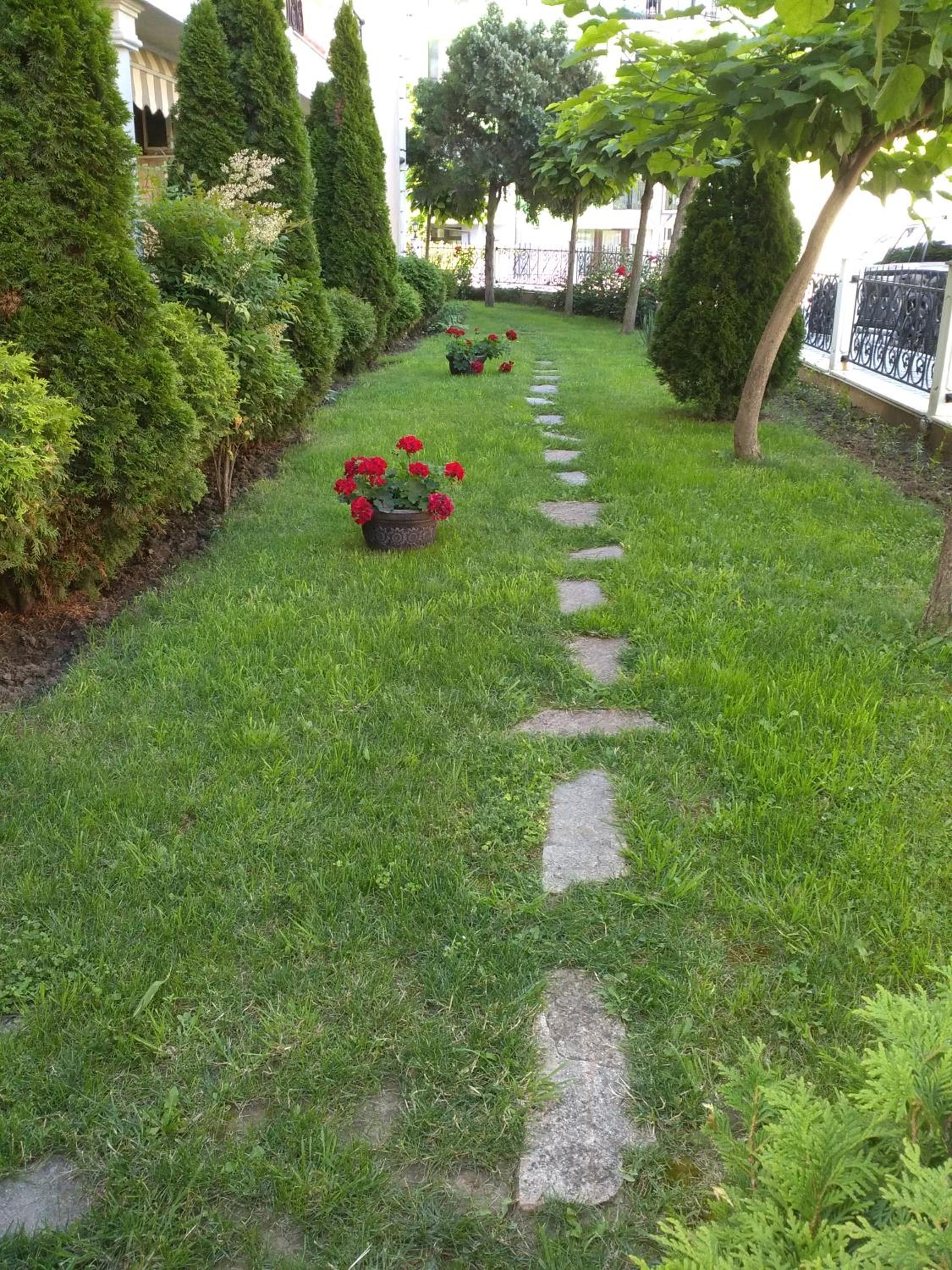 Photo 25