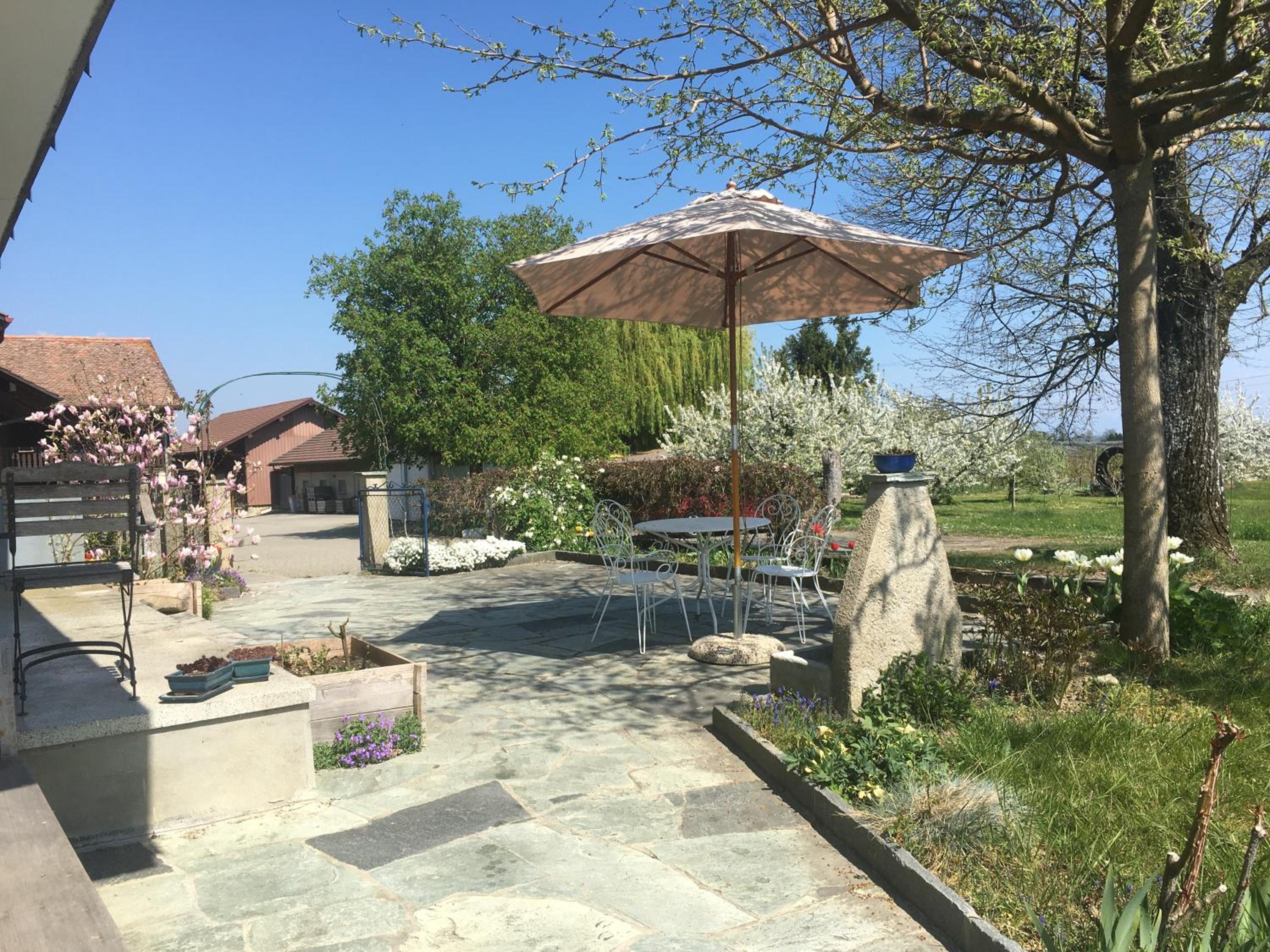 B&B Domaine En Trembley view 3