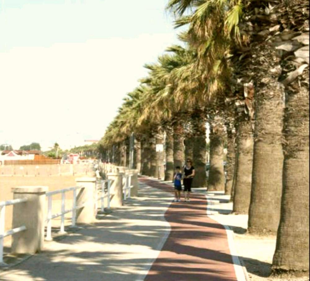Photo 33